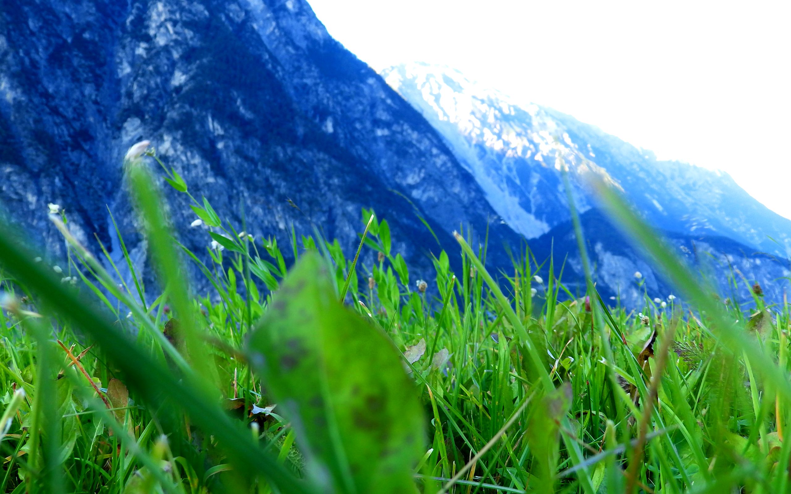 Download mobile wallpaper Nature, Grass, Mountain, Earth for free.