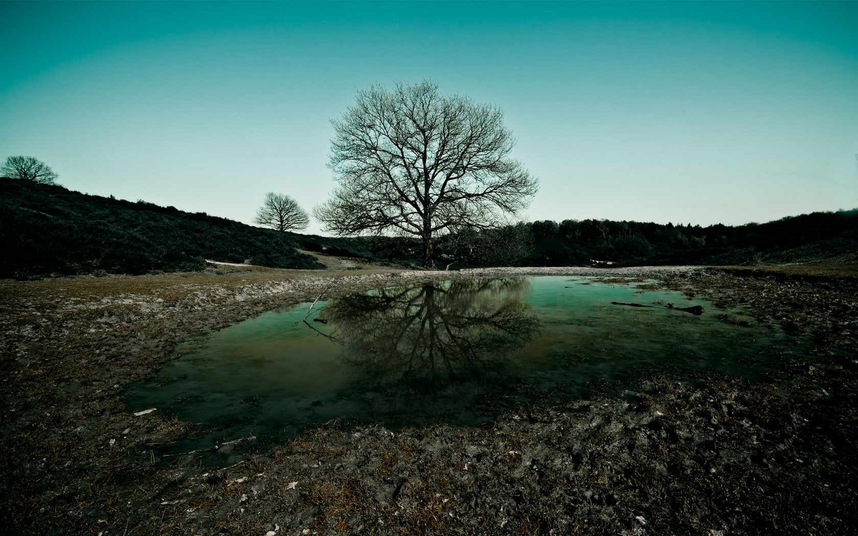 Baixar papel de parede para celular de Terra/natureza, Reflecção gratuito.