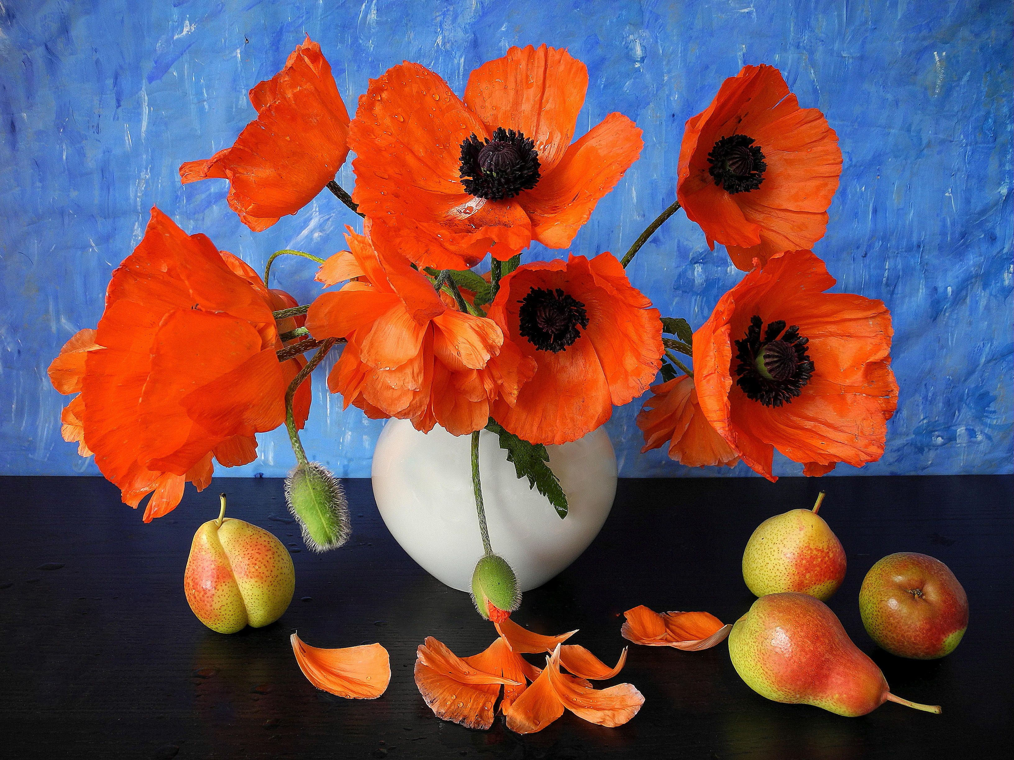 766929 завантажити картинку фрукти, ваза, фотографія, натюрморт, анемона, квітка, апельсинова квітка, груша, пелюстка, мак - шпалери і заставки безкоштовно