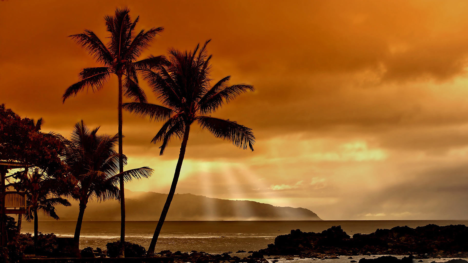 Handy-Wallpaper Landschaft, Sunset, Clouds, Sea, Palms kostenlos herunterladen.