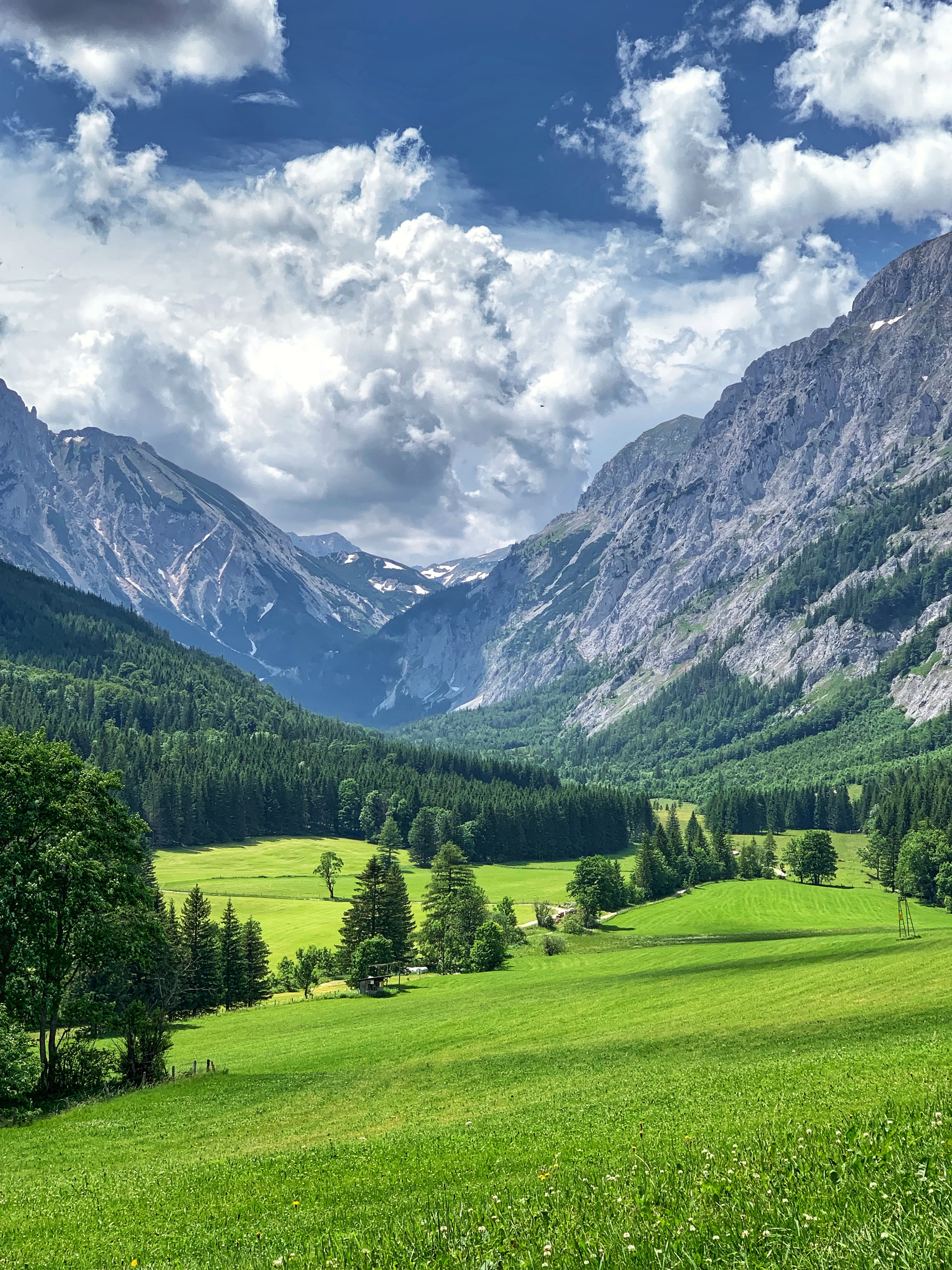 136836 descargar fondo de pantalla paisaje, naturaleza, montañas, árboles, hierba, verde, valle: protectores de pantalla e imágenes gratis