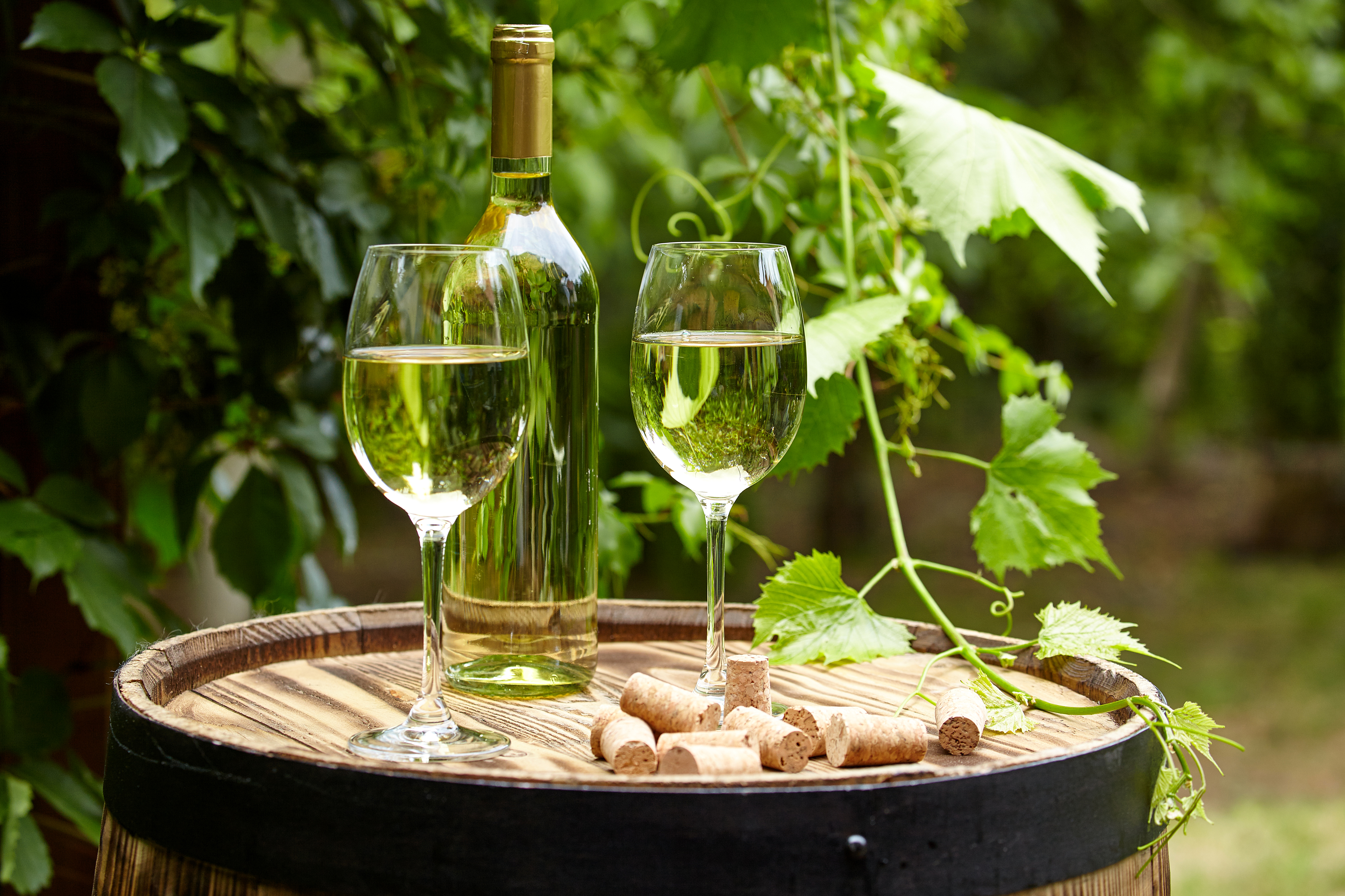 Download mobile wallpaper Food, Still Life, Glass, Bottle, Wine, Depth Of Field for free.