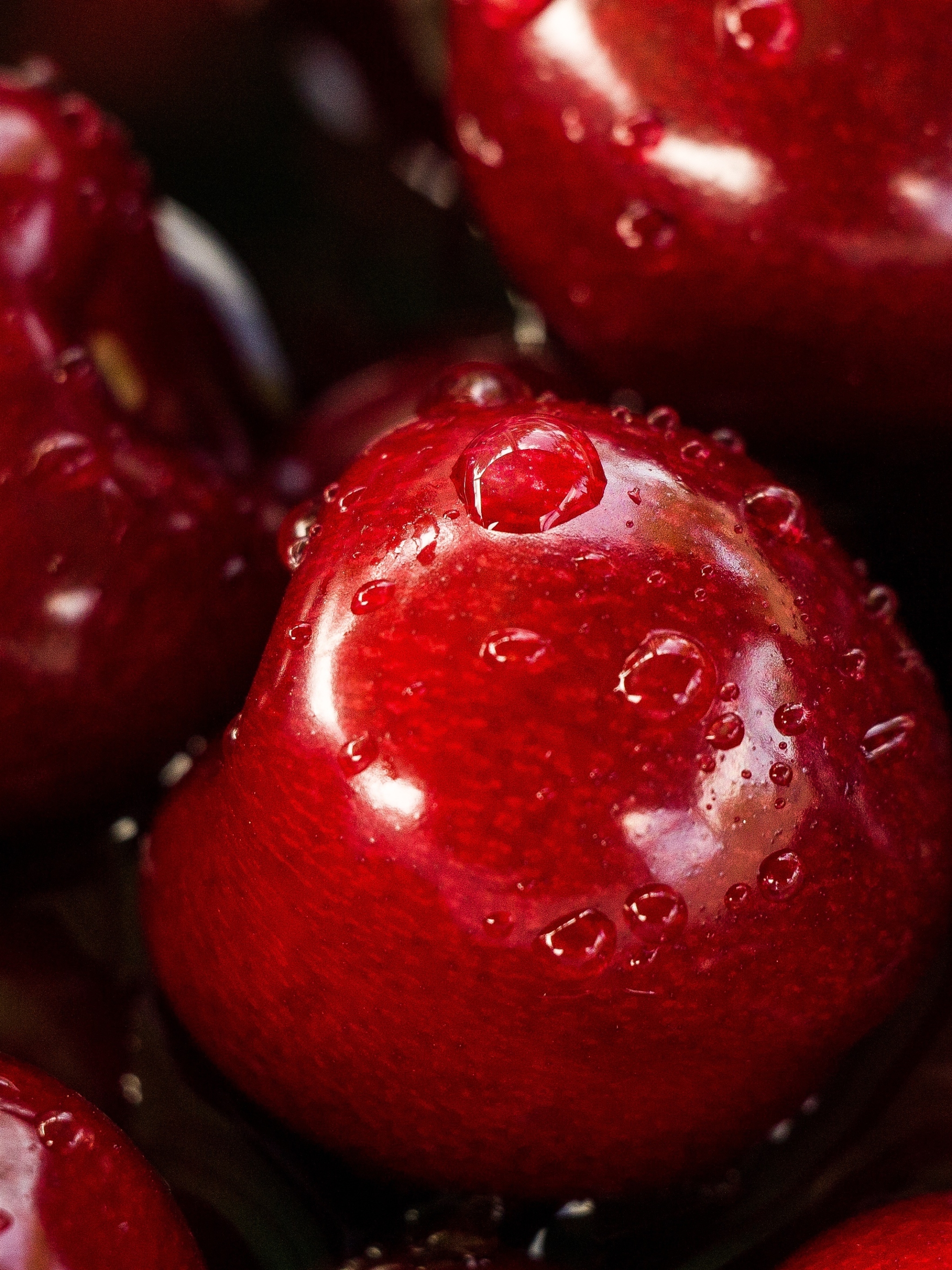 Laden Sie das Obst, Frucht, Apfel, Nahrungsmittel, Früchte-Bild kostenlos auf Ihren PC-Desktop herunter