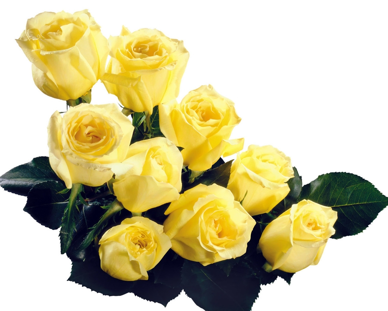 9433 завантажити шпалери 8 березня, квіти, рози, свята, рослини, листівки, жовтий - заставки і картинки безкоштовно