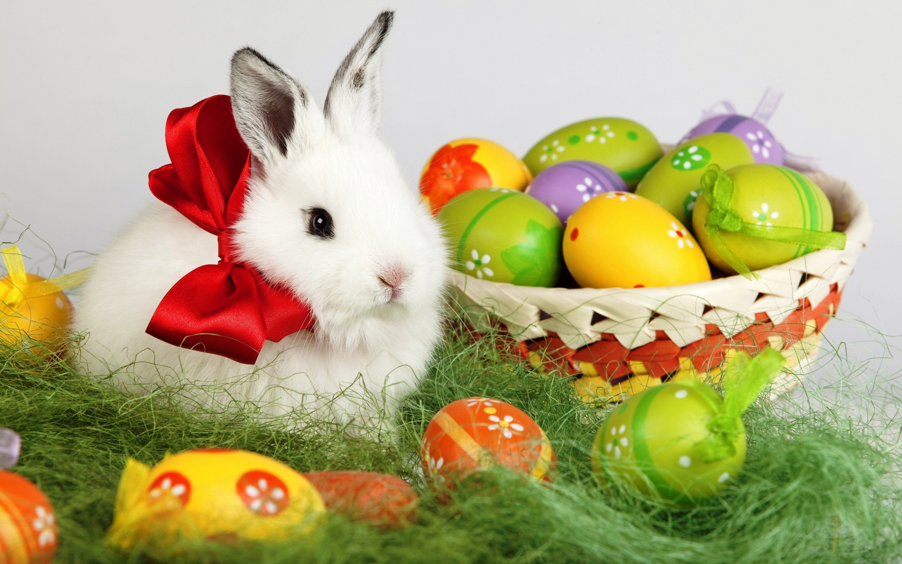 Скачати мобільні шпалери Великдень, Свято, Кошик, Кролик, Яйце, Зайчик безкоштовно.