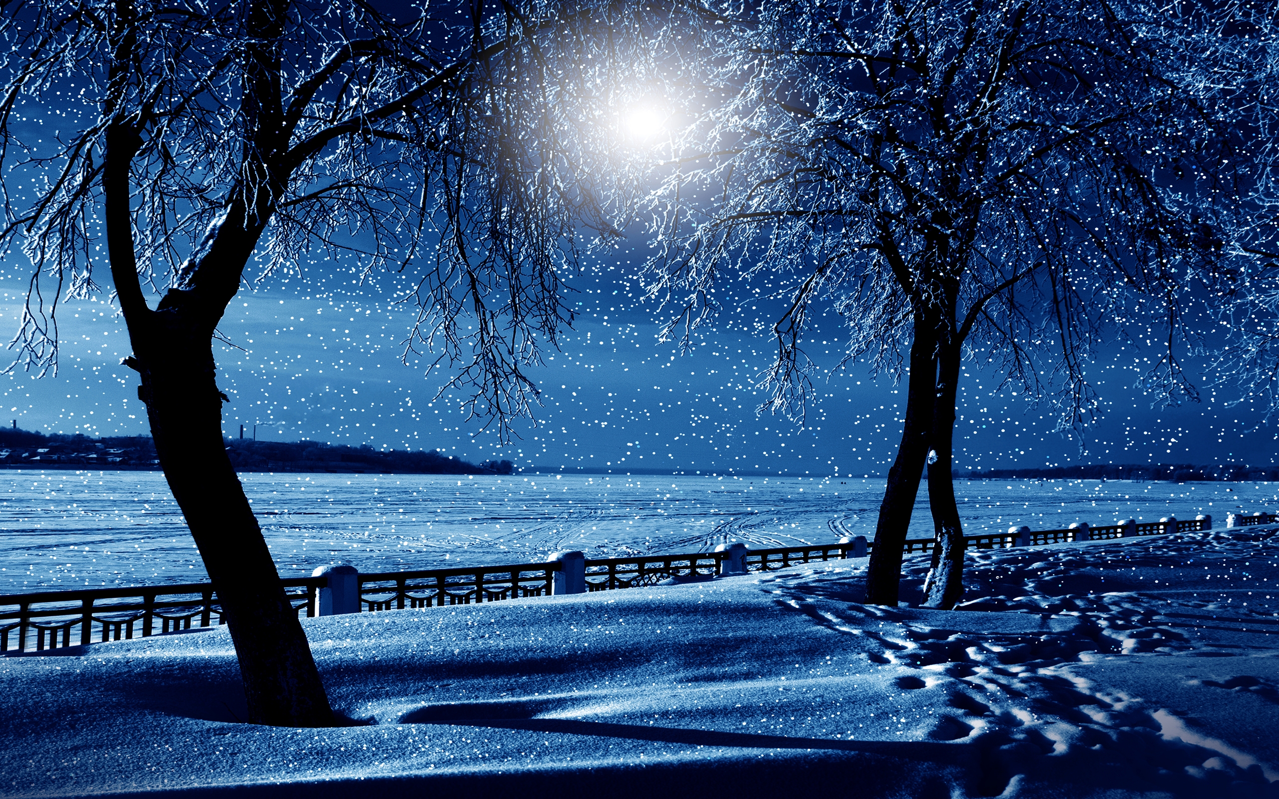 Скачать обои бесплатно Зима, Ночь, Снег, Дерево, Синий, Снегопад, Земля/природа картинка на рабочий стол ПК