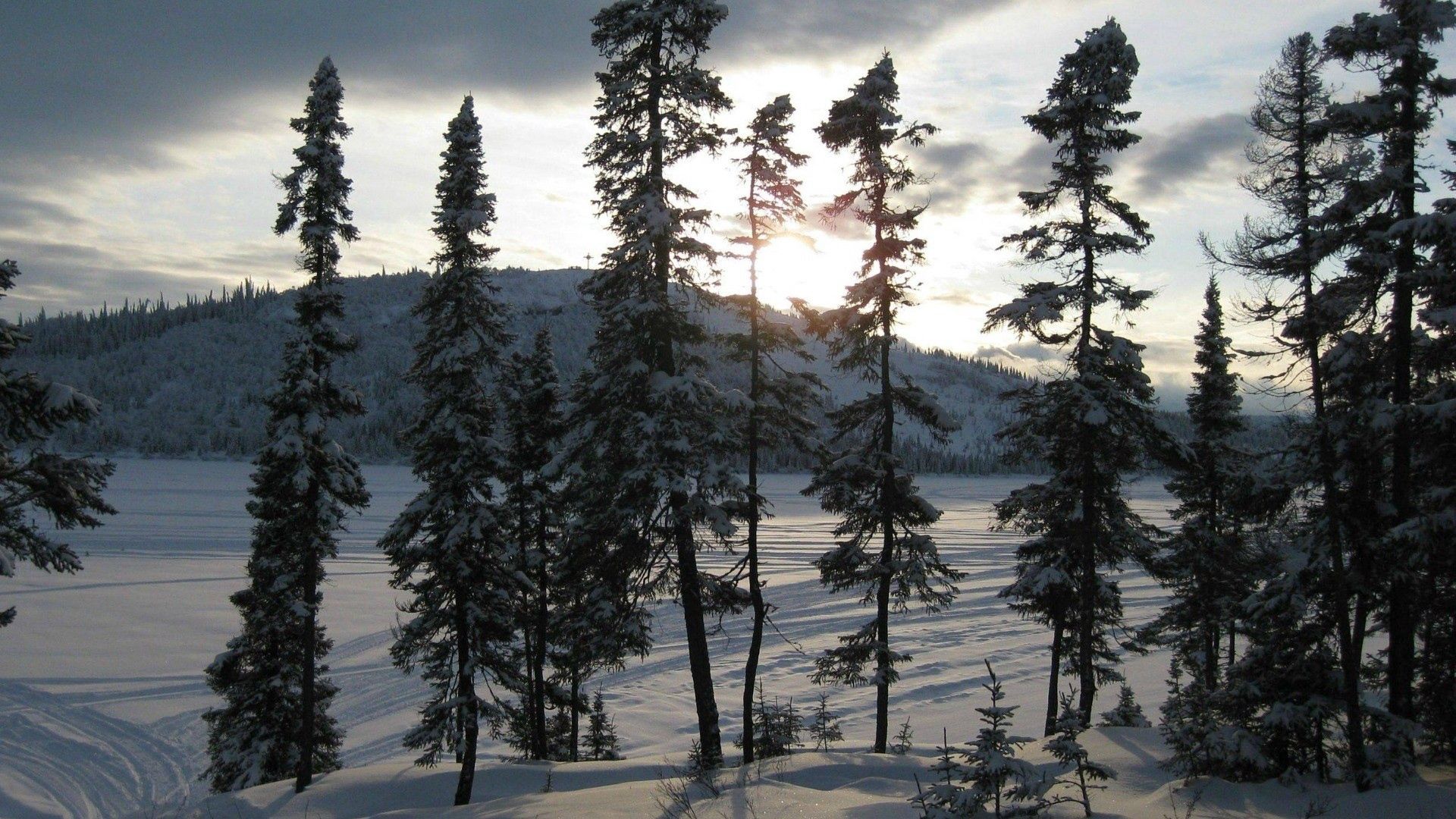 Скачать картинку Деревья, Снег, Небо, Природа в телефон бесплатно.