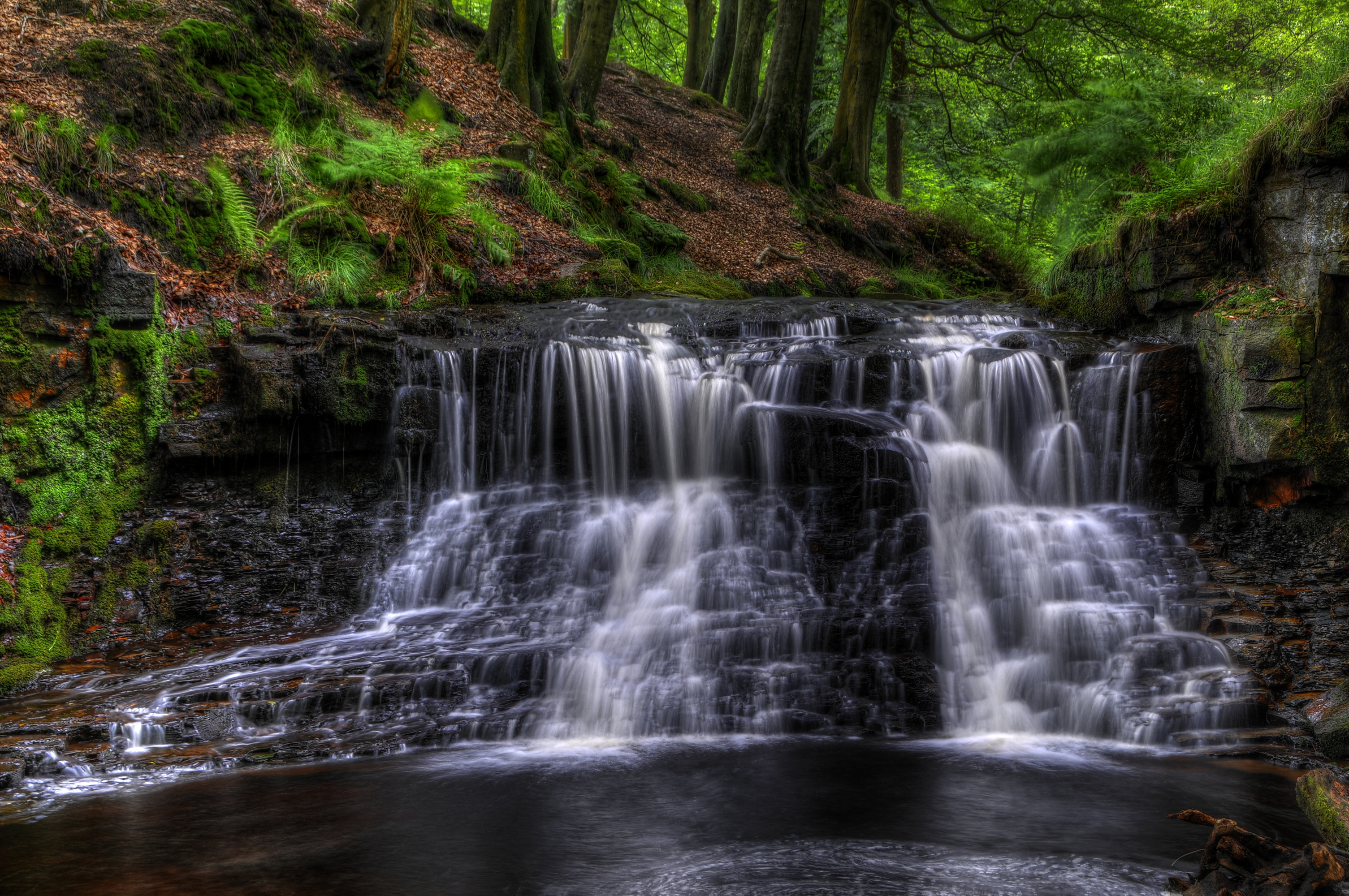 Download mobile wallpaper Waterfalls, Waterfall, Forest, Earth for free.