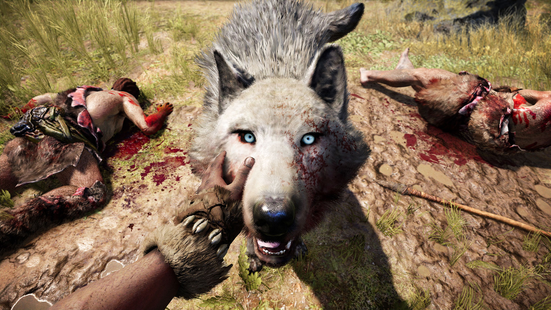Free download wallpaper Video Game, Far Cry, Far Cry Primal on your PC desktop