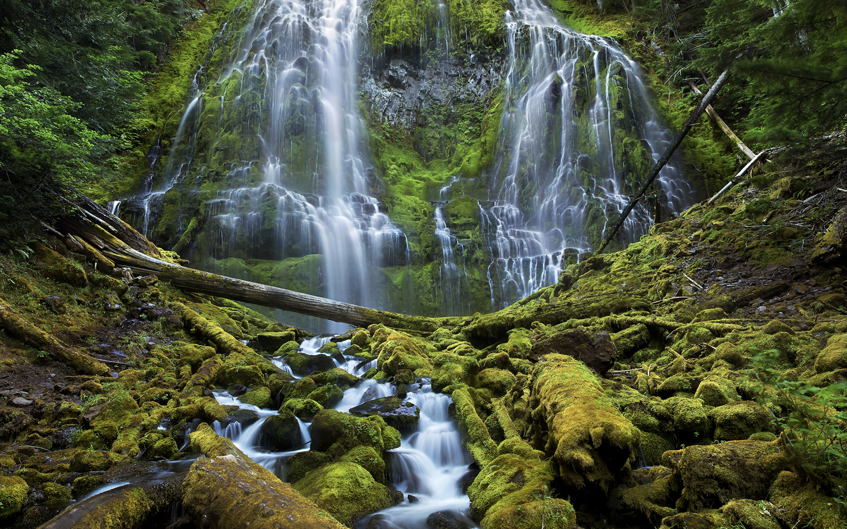 Descarga gratis la imagen Cascadas, Rio, Cascada, Bosque, Tierra/naturaleza, Verdor en el escritorio de tu PC