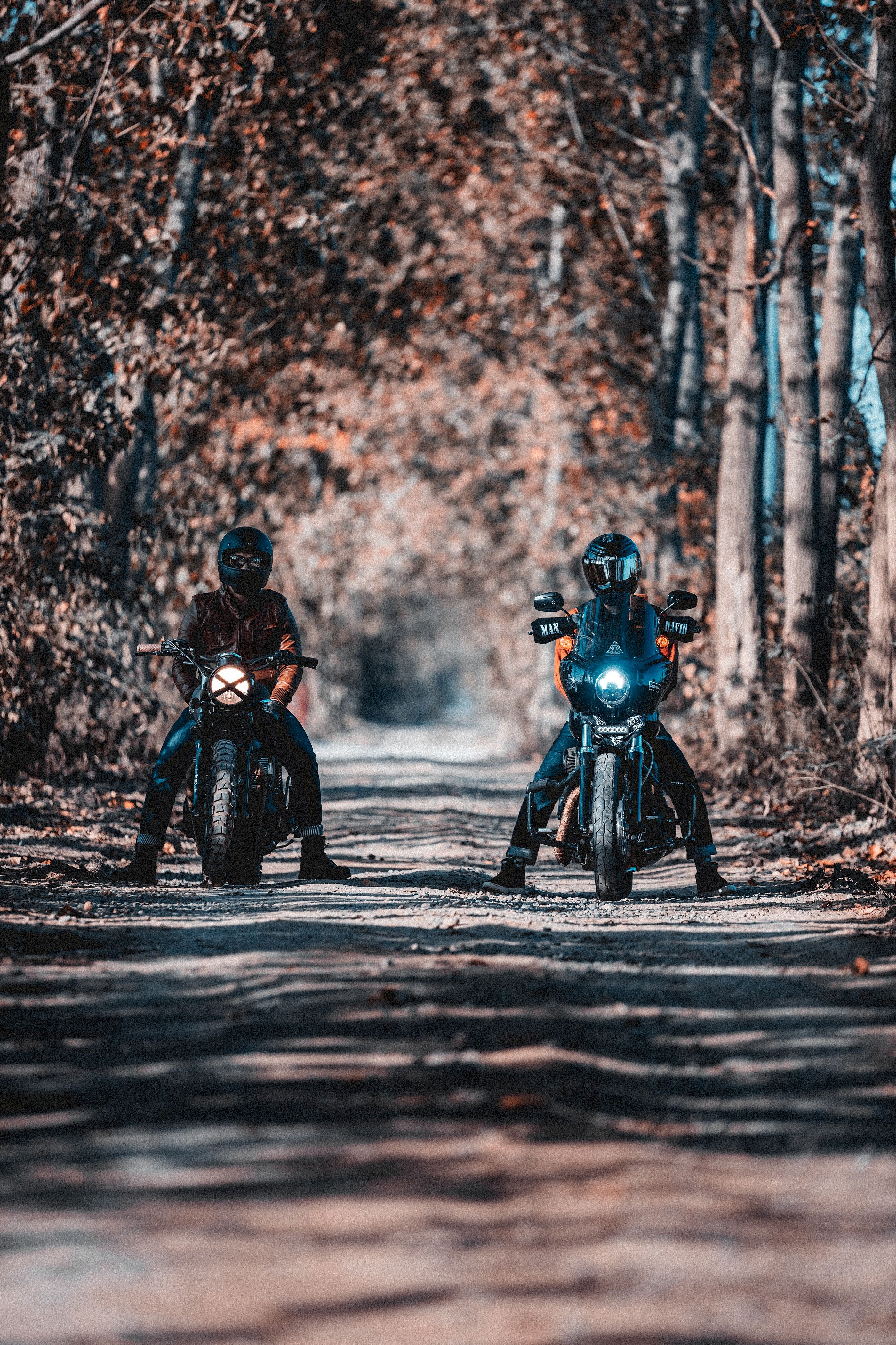 90086 descargar imagen motocicletas, camino, bosque, motocicleta, bicicleta, ciclistas, motociclistas: fondos de pantalla y protectores de pantalla gratis