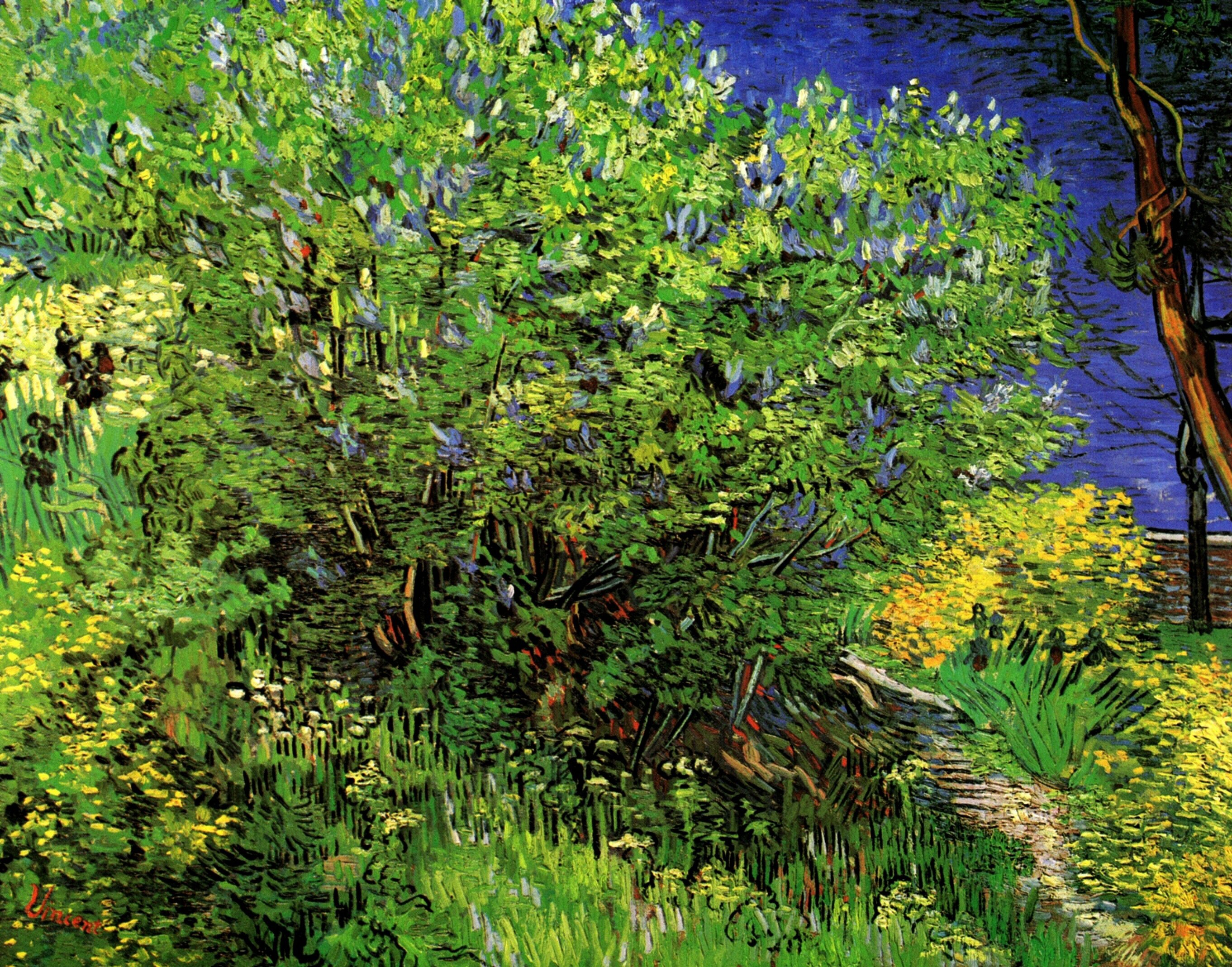 vincent van gogh, artistic, bush, grass, lilac, painting