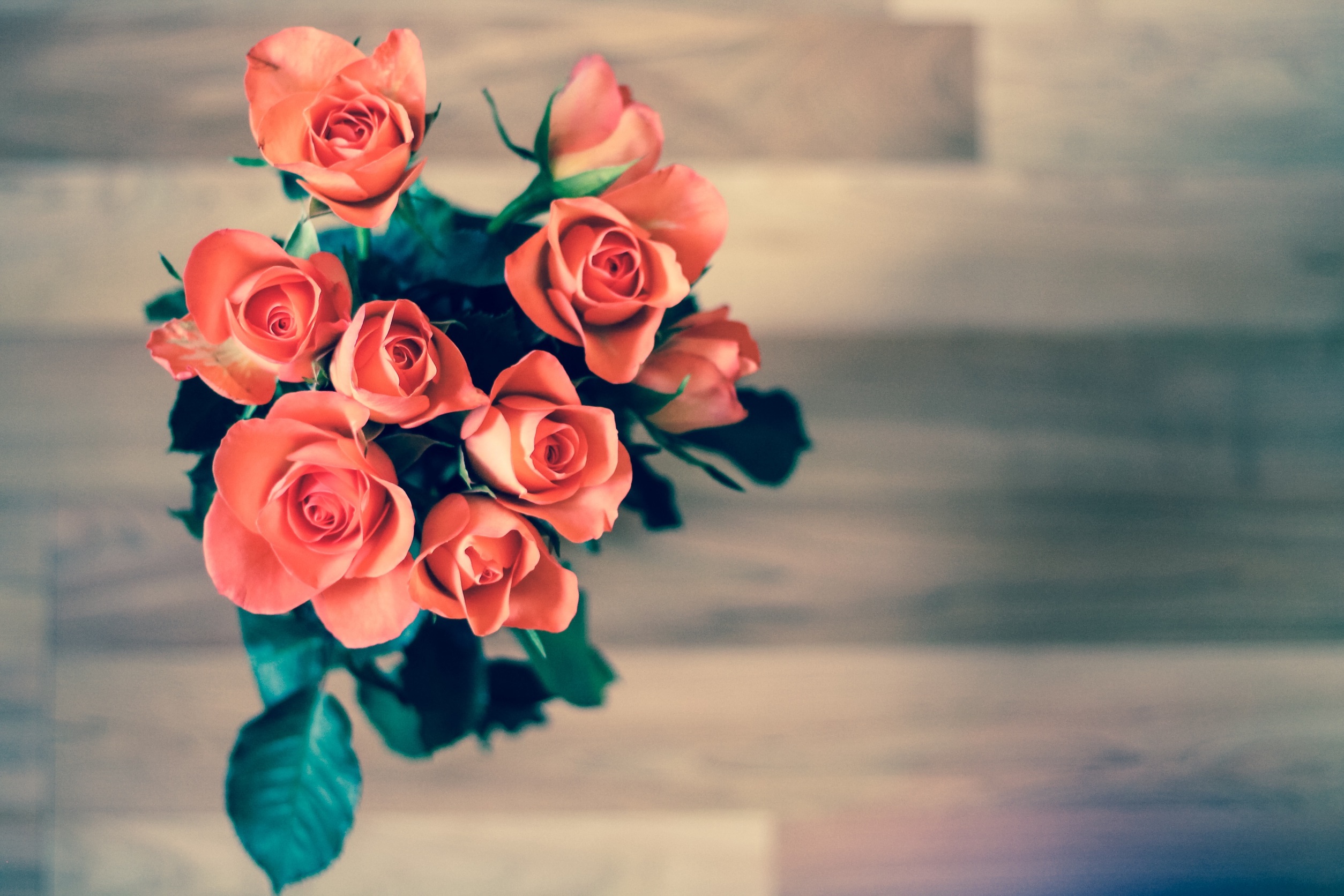 Free download wallpaper Flowers, Bouquet, Buds, Roses, Leaves on your PC desktop