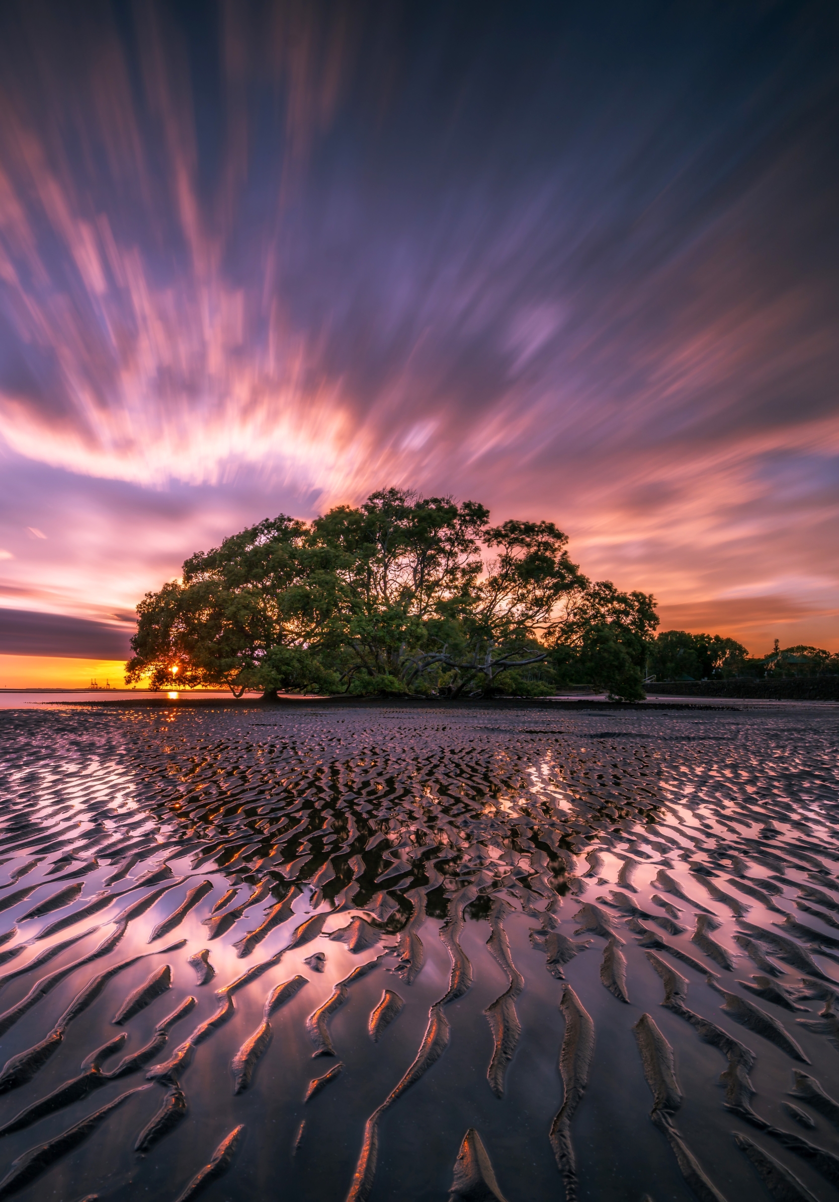 Descarga gratuita de fondo de pantalla para móvil de Naturaleza, Cielo, Playa, Horizonte, Árbol, Atardecer, Tierra/naturaleza, Puesta De Sol.