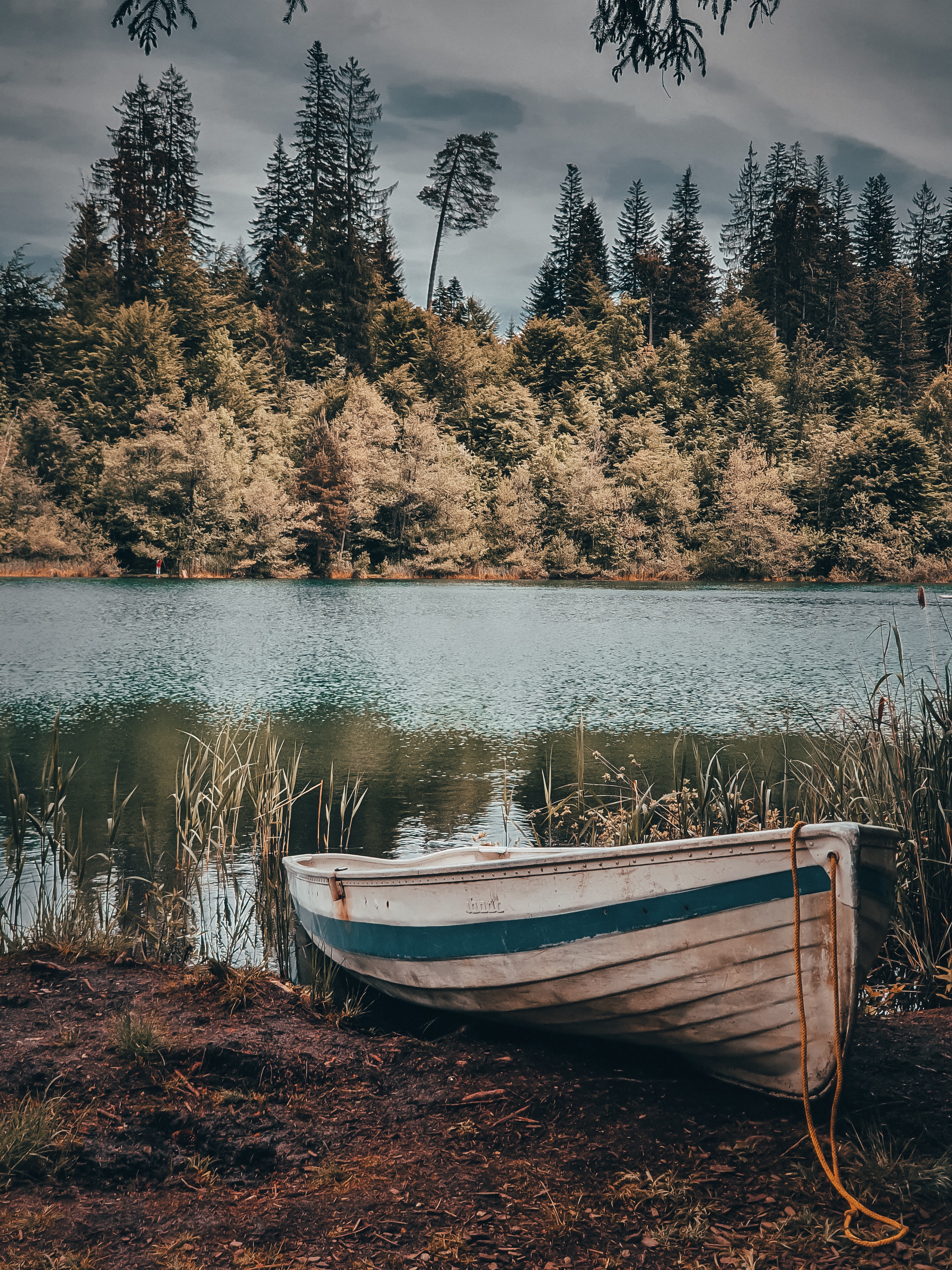 Download mobile wallpaper Bank, Shore, Miscellaneous, Trees, Rivers, Miscellanea, Boat for free.