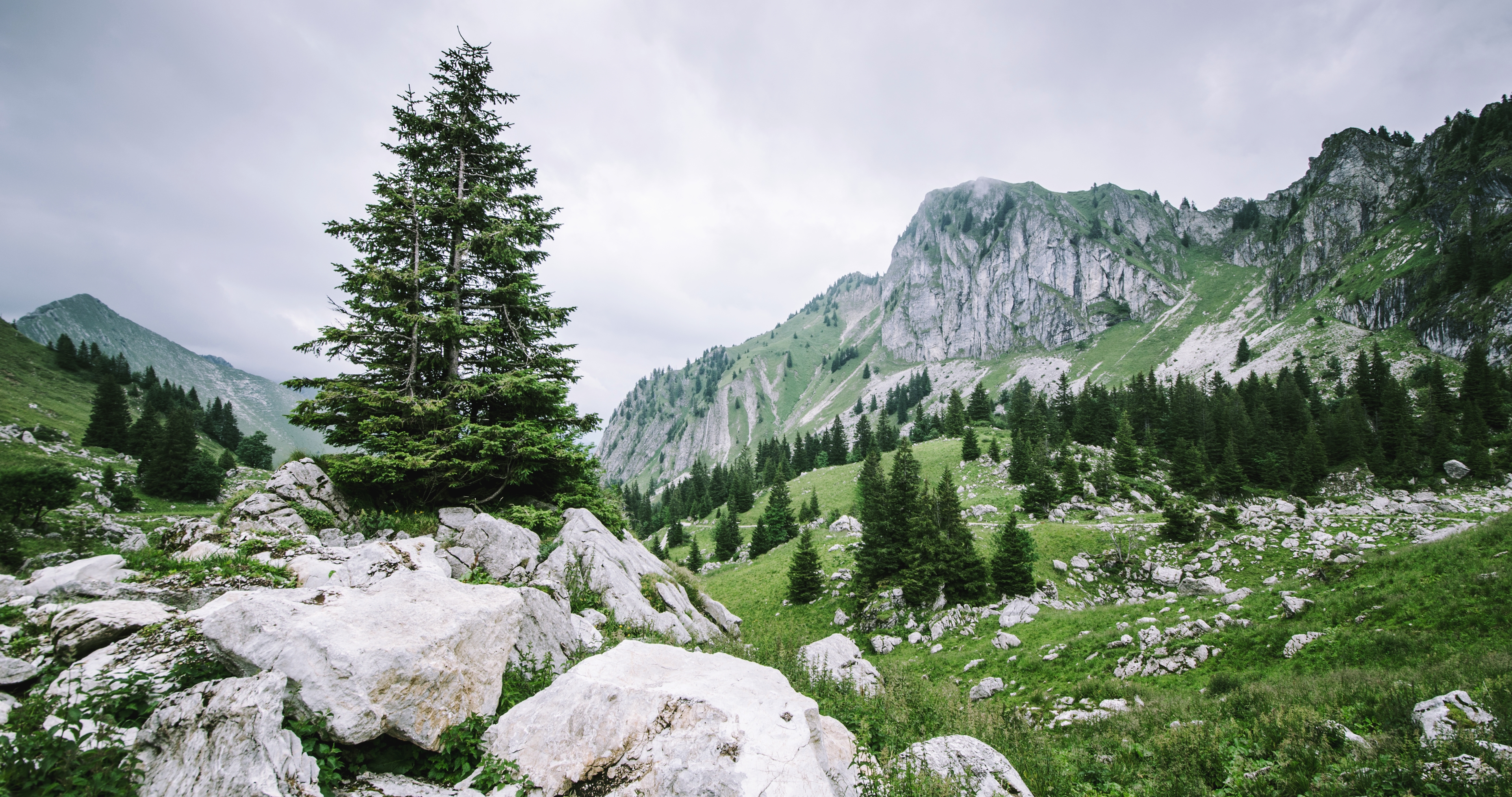 Descarga gratuita de fondo de pantalla para móvil de Paisaje, Naturaleza, Montaña, Árbol, Tierra/naturaleza.