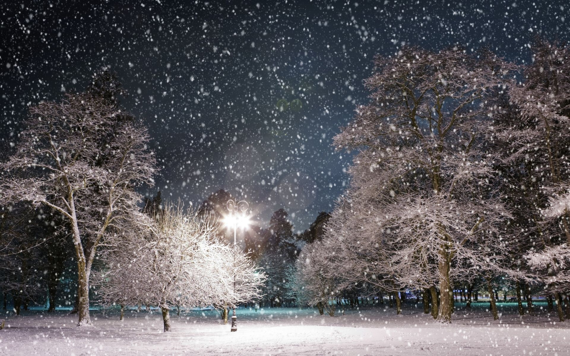 Скачать обои бесплатно Зима, Ночь, Снег, Парк, Дерево, Фотографии, Снегопад, Легкий картинка на рабочий стол ПК