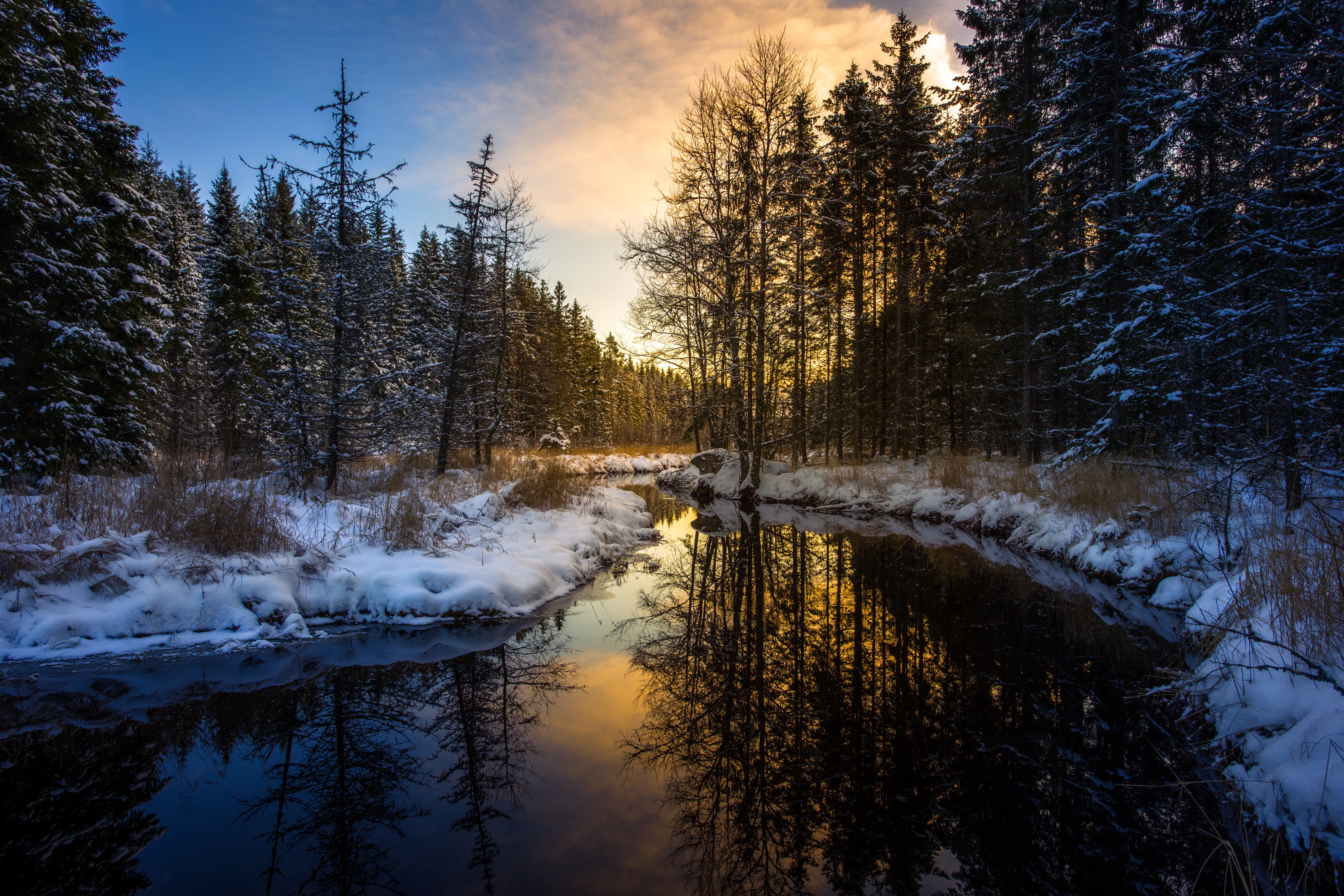 Скачать картинку Зима, Природа, Река, Снег, Отражение, Лес, Дерево, Земля/природа в телефон бесплатно.