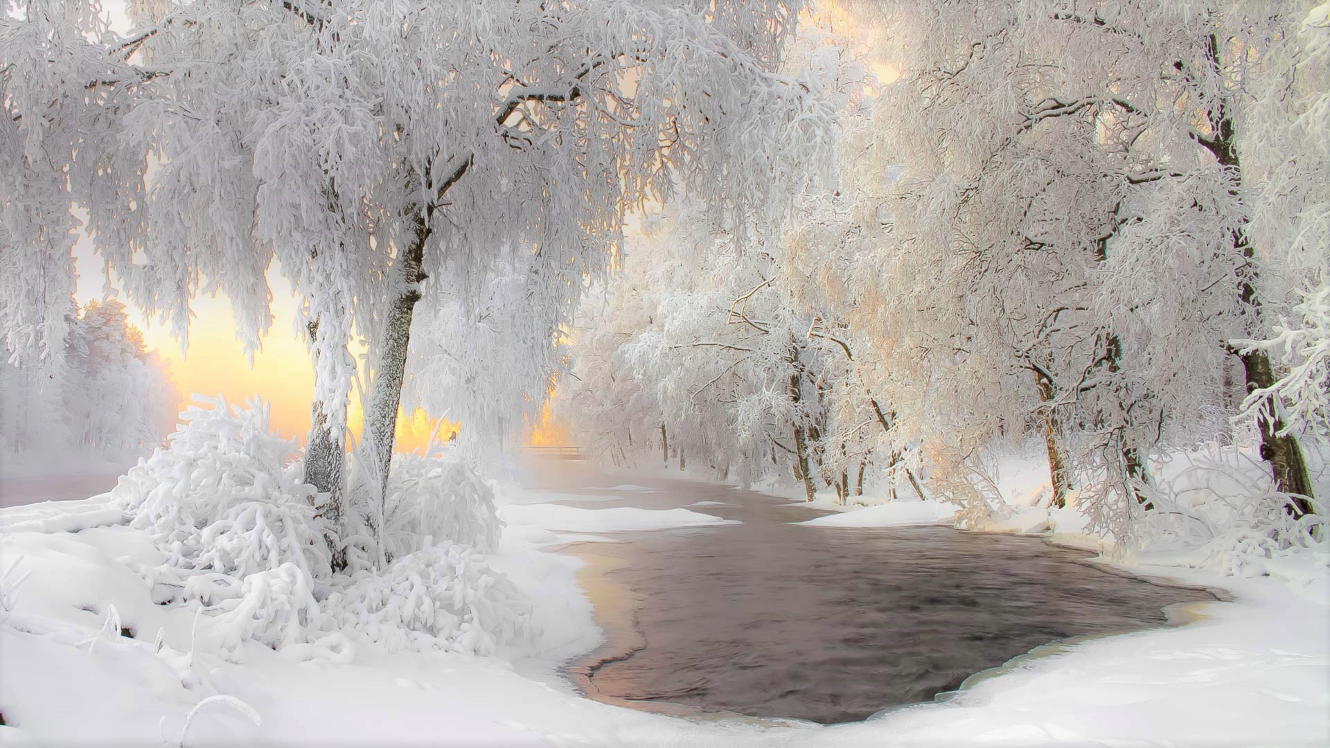 Скачать картинку Зима, Река, Закат, Снег, Лес, Дерево, Земля/природа в телефон бесплатно.