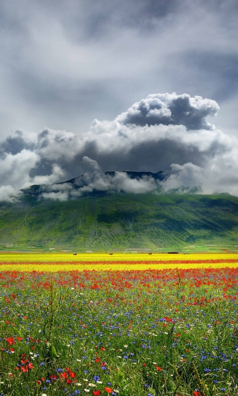 Download mobile wallpaper Landscape, Nature, Mountain, Flower, Earth, Field, Cloud, Meadow for free.