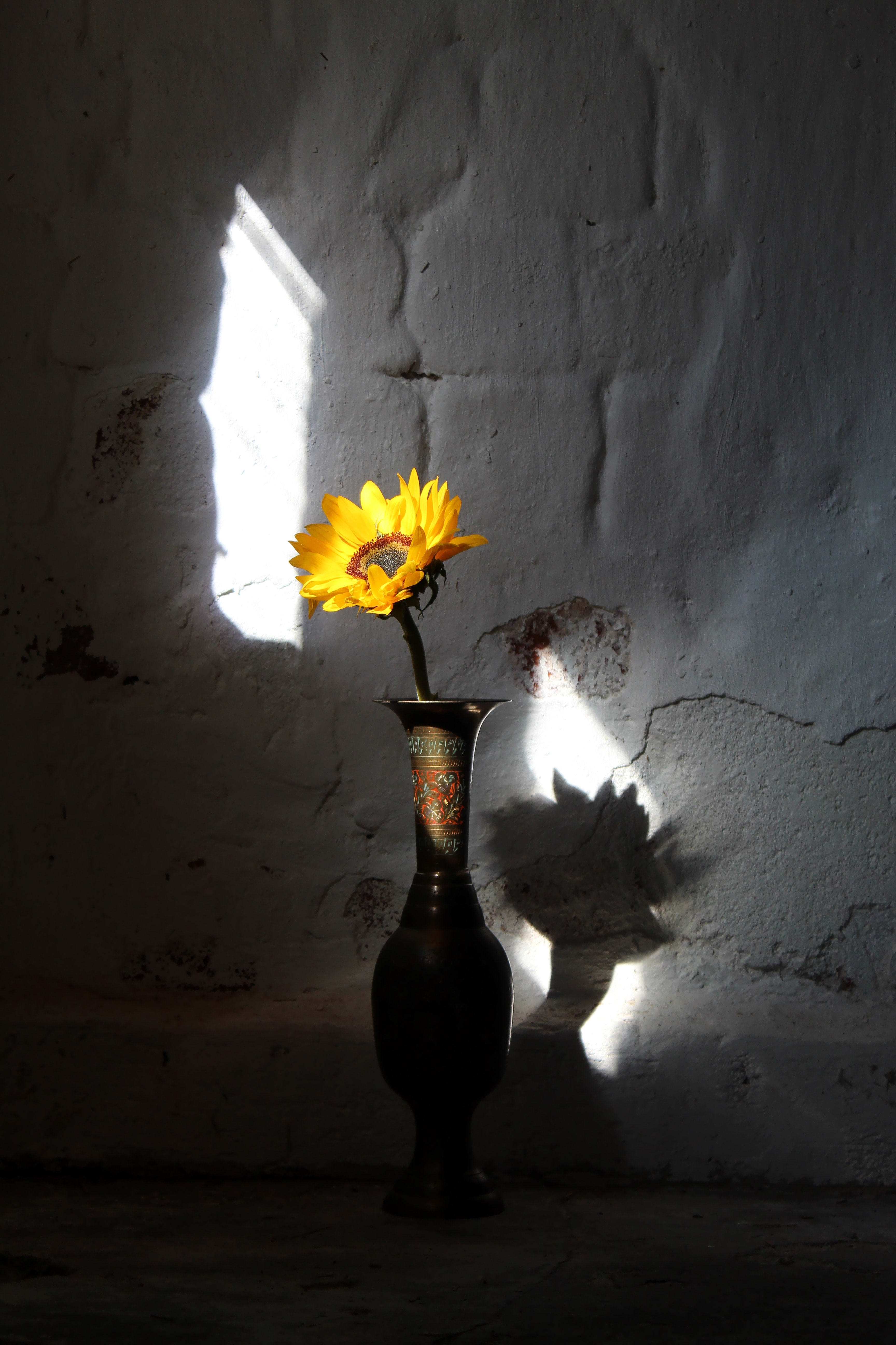 vase, sunflower, rays, flowers, flower, beams, wall Full HD
