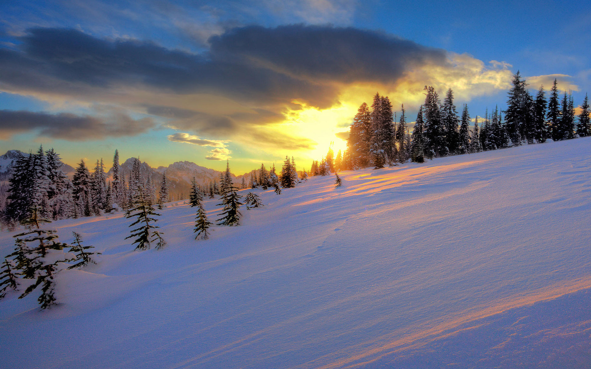 Téléchargez gratuitement l'image Hiver, Terre/nature sur le bureau de votre PC