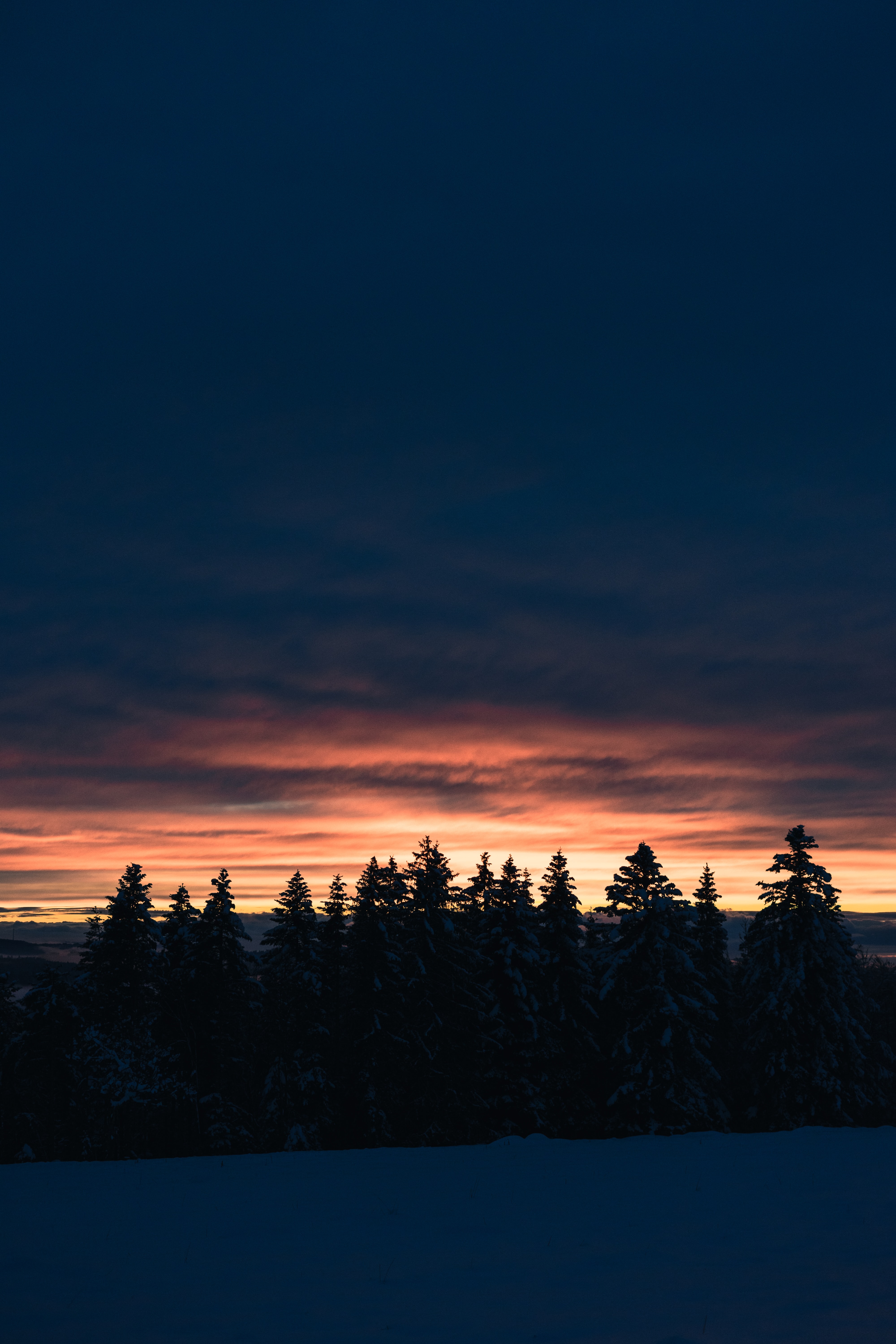 Free download wallpaper Winter, Nature, Trees, Sunset, Twilight, Fir Trees, Dusk, Snow on your PC desktop