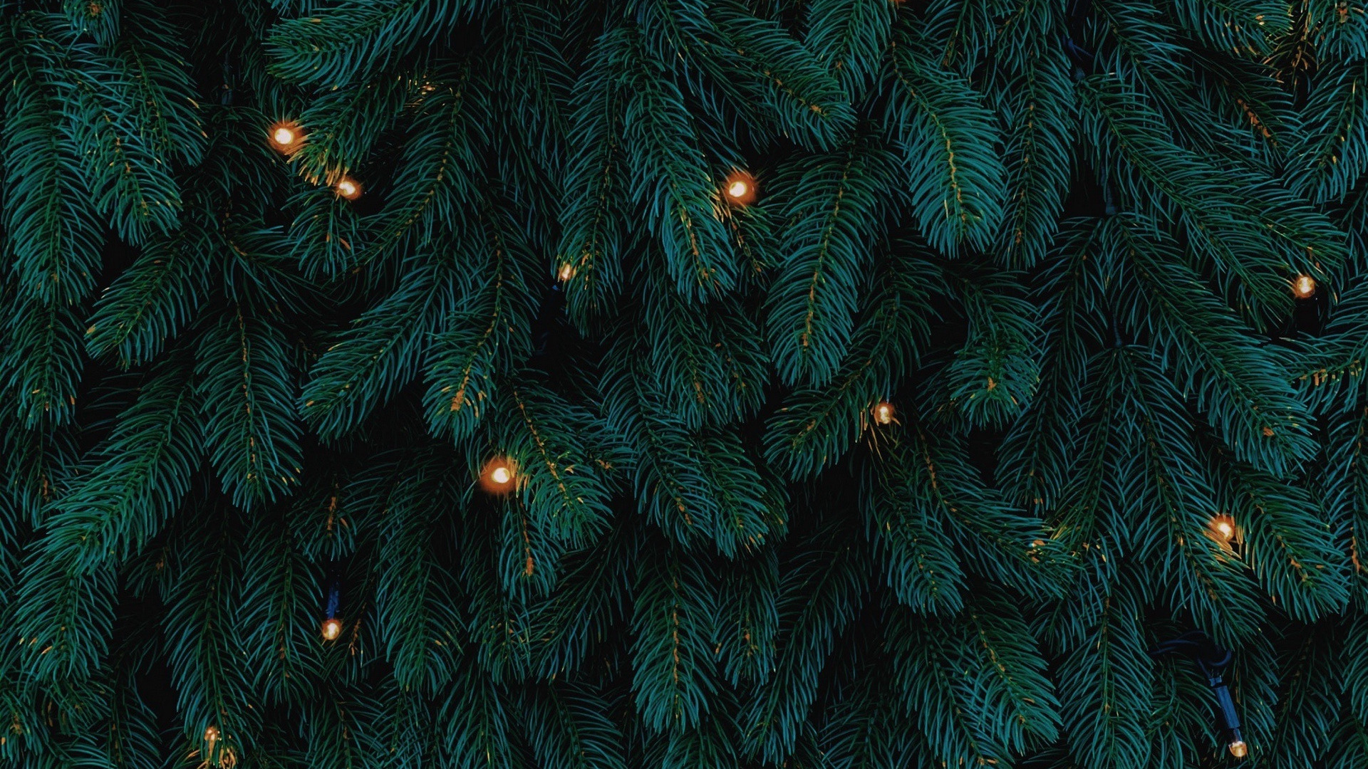Handy-Wallpaper Feiertage, Weihnachten, Weihnachtsbaum, Weihnachtsbeleuchtung kostenlos herunterladen.