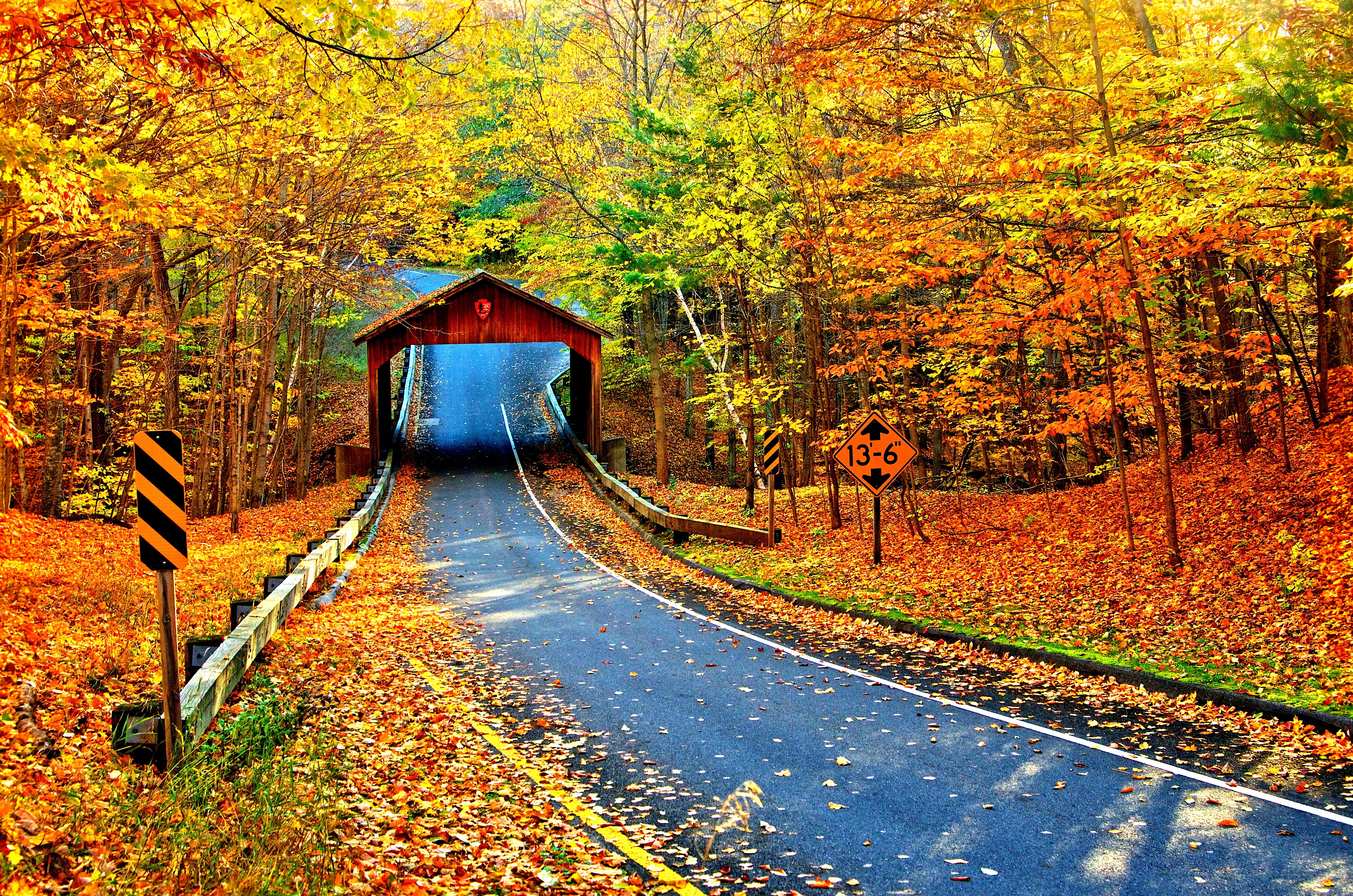 road, man made, covered bridge, bridge, fall, tree, bridges