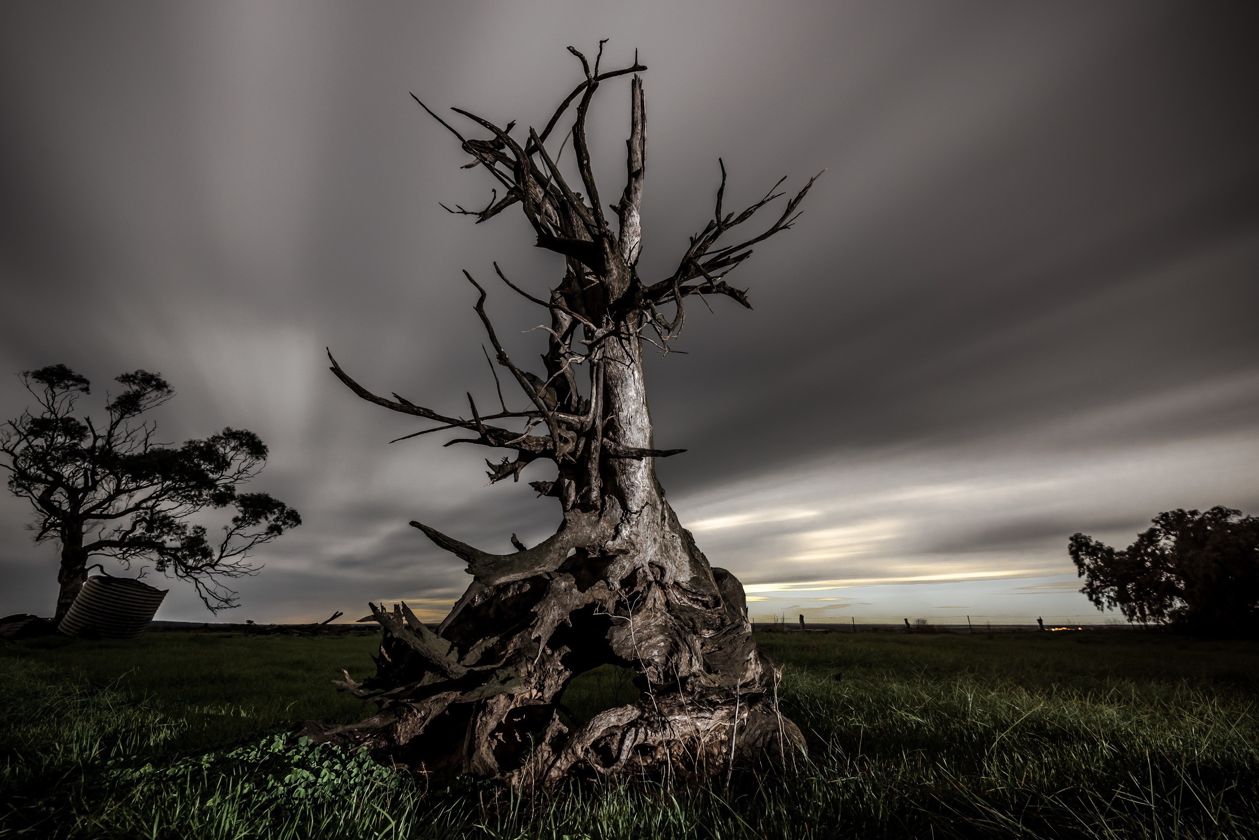 Handy-Wallpaper Landschaft, Baum, Erde/natur kostenlos herunterladen.