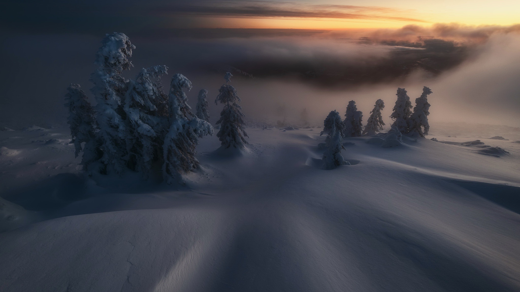 Téléchargez gratuitement l'image Hiver, Terre/nature, Neiger sur le bureau de votre PC