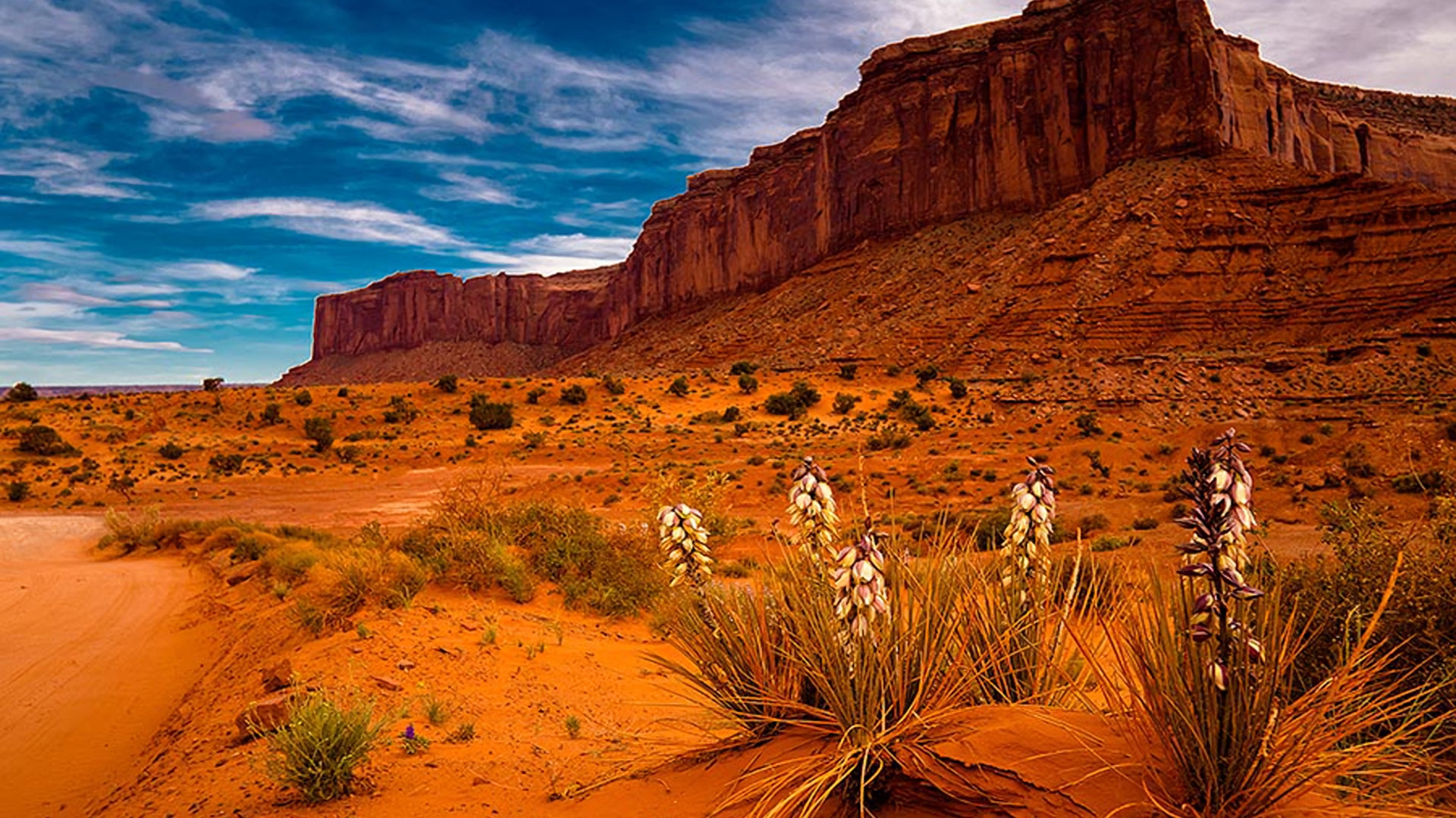 Скачать обои бесплатно Пустыня, Растение, Аризона, Земля/природа, Седона картинка на рабочий стол ПК