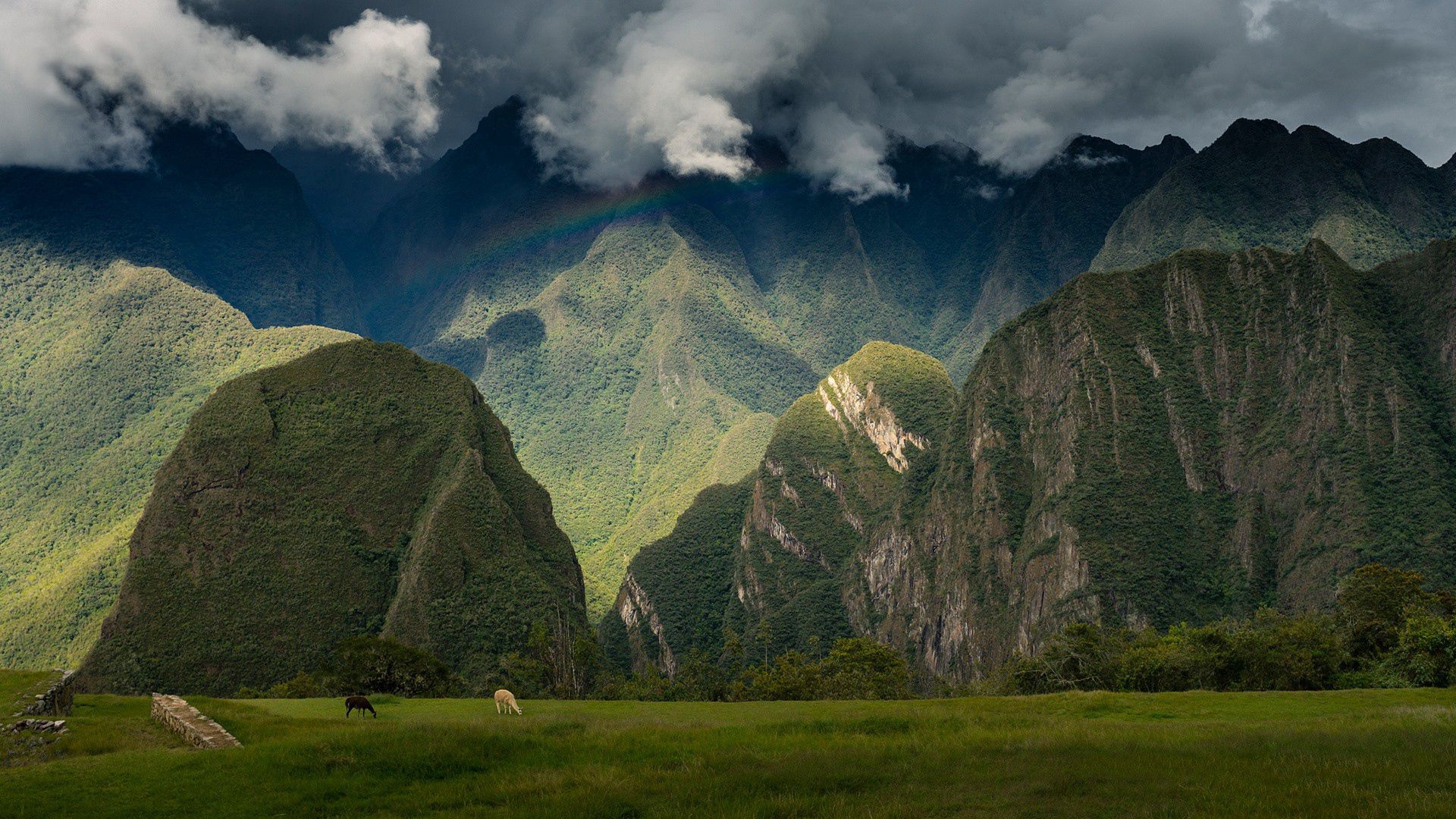 101989 descargar fondo de pantalla perú, naturaleza, cielo, montañas, machu picchu, andes, ciudadela inca: protectores de pantalla e imágenes gratis