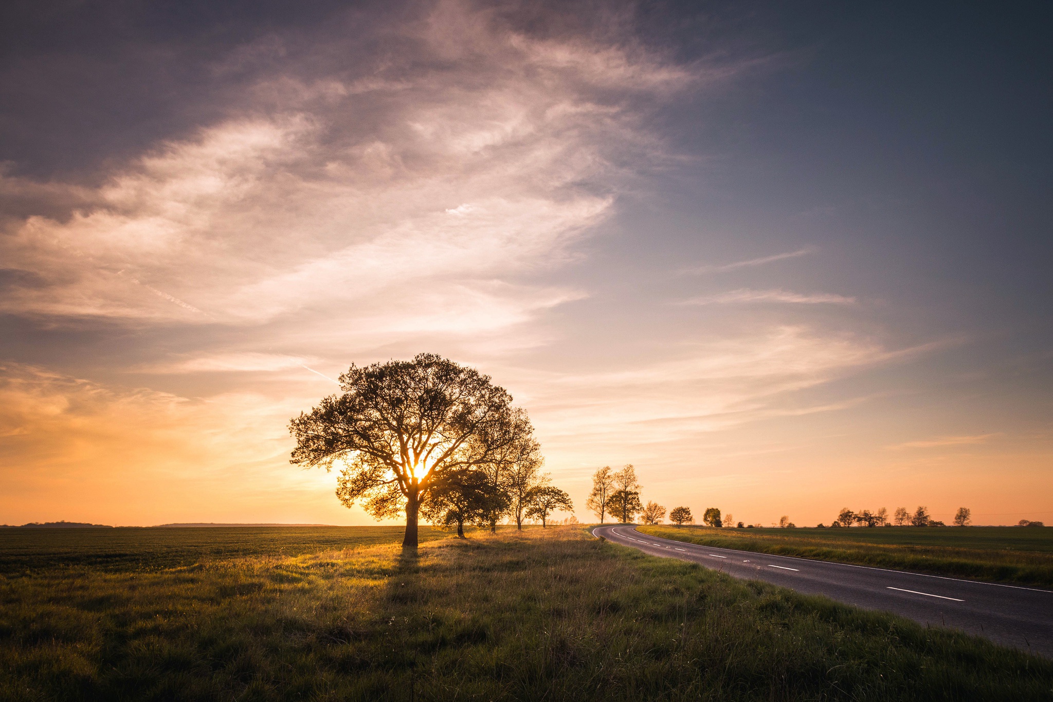 Download mobile wallpaper Landscape, Nature, Sky, Road, Tree, Sunrise, Field, Man Made for free.