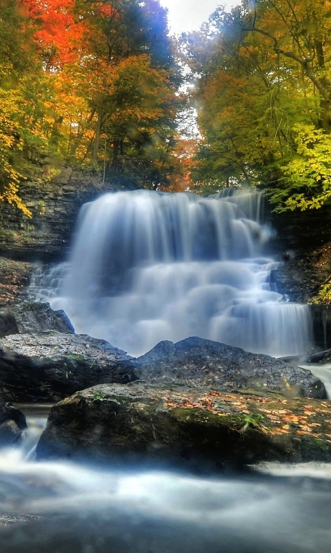 Download mobile wallpaper Waterfalls, Waterfall, Forest, Tree, Fall, Earth for free.