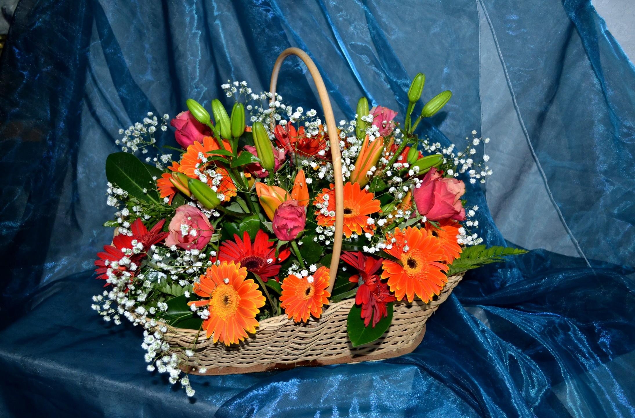flowers, roses, lilies, gerberas, cloth, gypsophilus, gipsophile, basket, composition