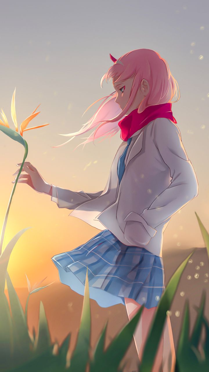 Download mobile wallpaper Anime, Sunset, Flower, Darling In The Franxx, Zero Two (Darling In The Franxx) for free.
