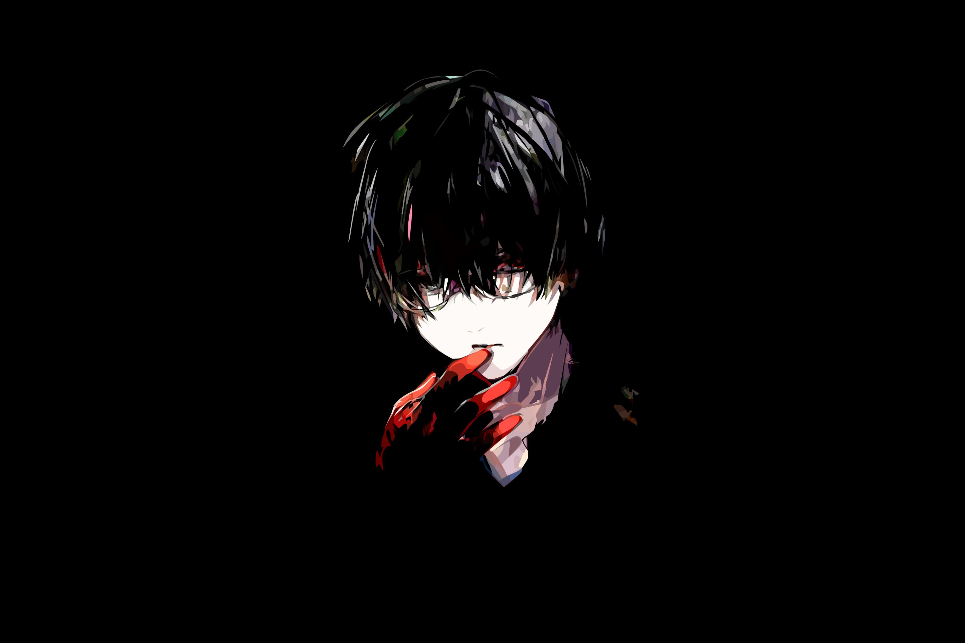 Téléchargez gratuitement l'image Cheveux Noirs, Animé, Ken Kaneki, Tokyo Ghoul sur le bureau de votre PC