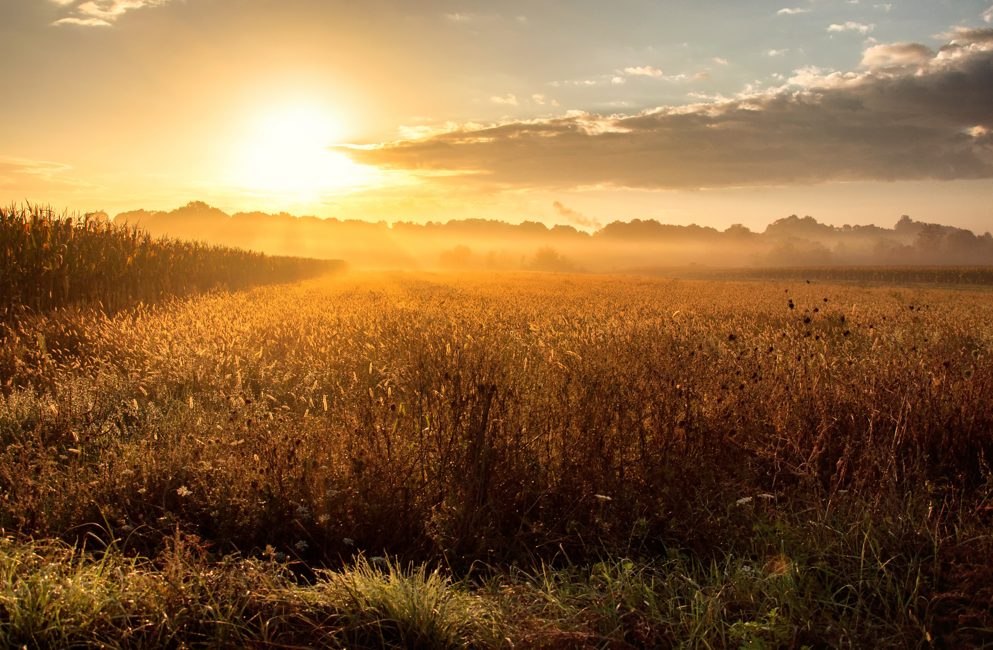 Laden Sie das Sonnenuntergang, Erde/natur-Bild kostenlos auf Ihren PC-Desktop herunter