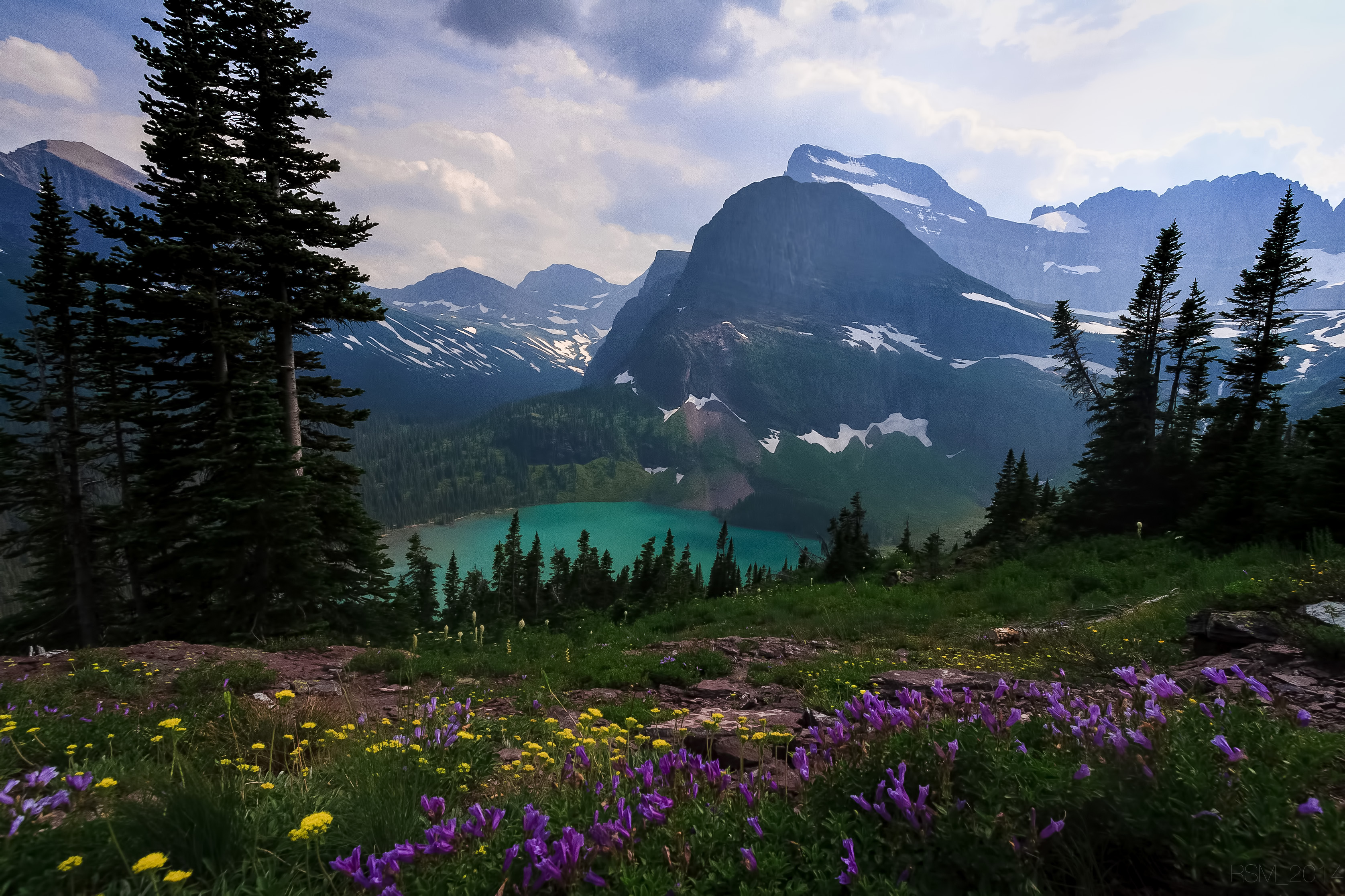 mountains, grinnell lake, earth, mount gould, flower, glacier national park, grinnell glacier, lake, landscape, lewis range, montana