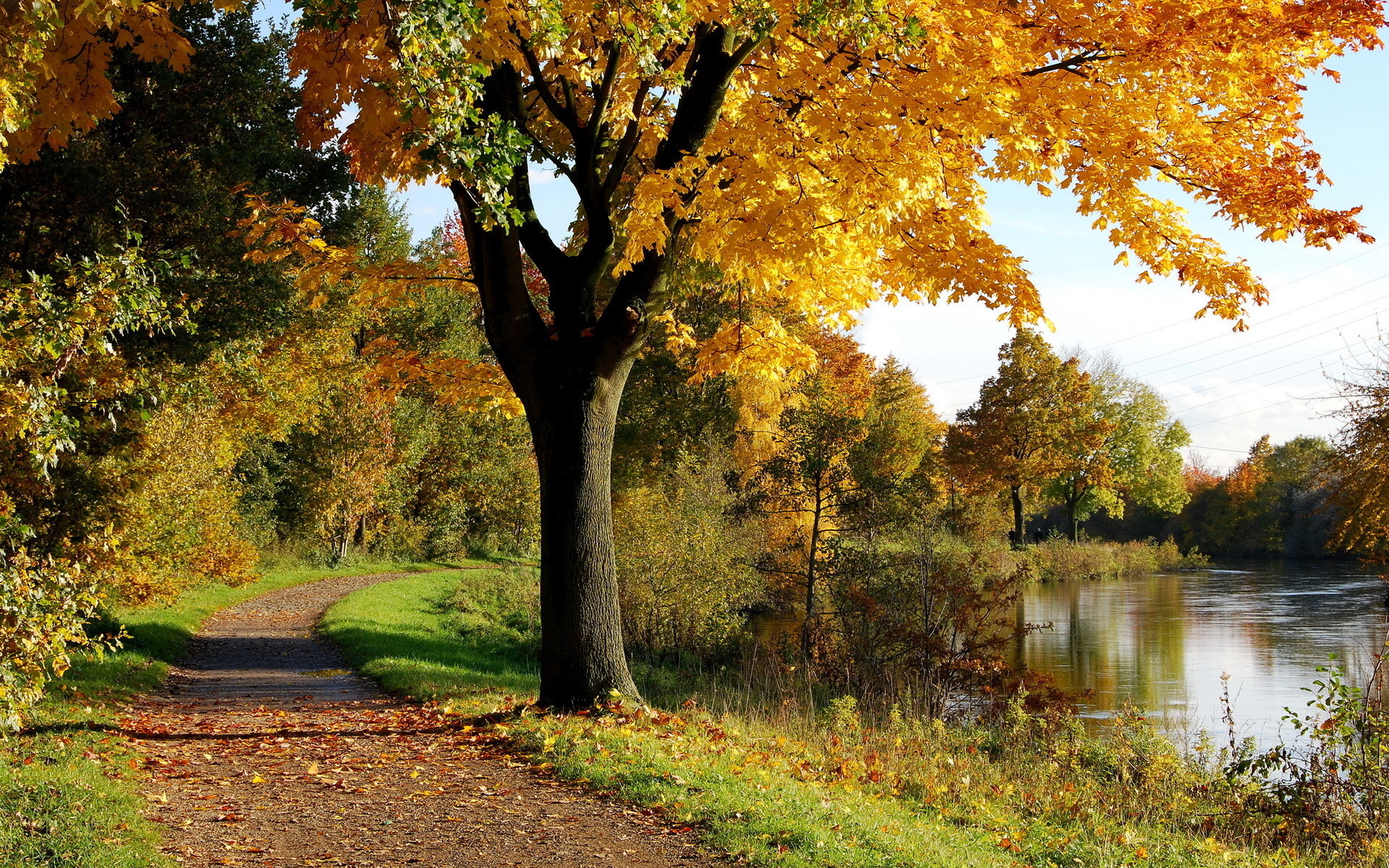 Laden Sie das Natur, Herbst, Pfad, Jahreszeit, Erde/natur-Bild kostenlos auf Ihren PC-Desktop herunter