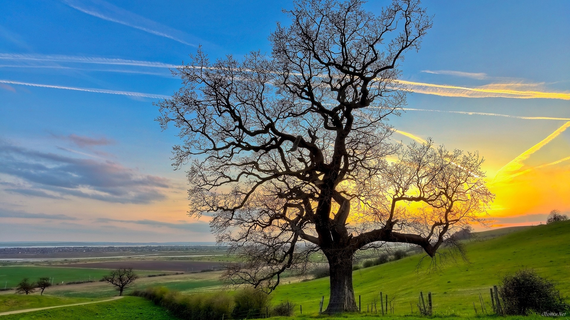 Free download wallpaper Landscape, Trees, Sky, Fields on your PC desktop