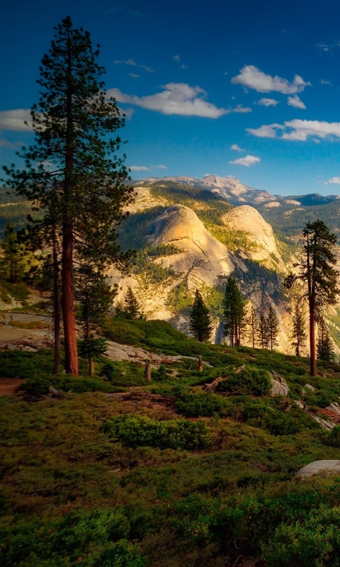 Descarga gratuita de fondo de pantalla para móvil de Paisaje, Naturaleza, Montaña, Árbol, Tierra/naturaleza.