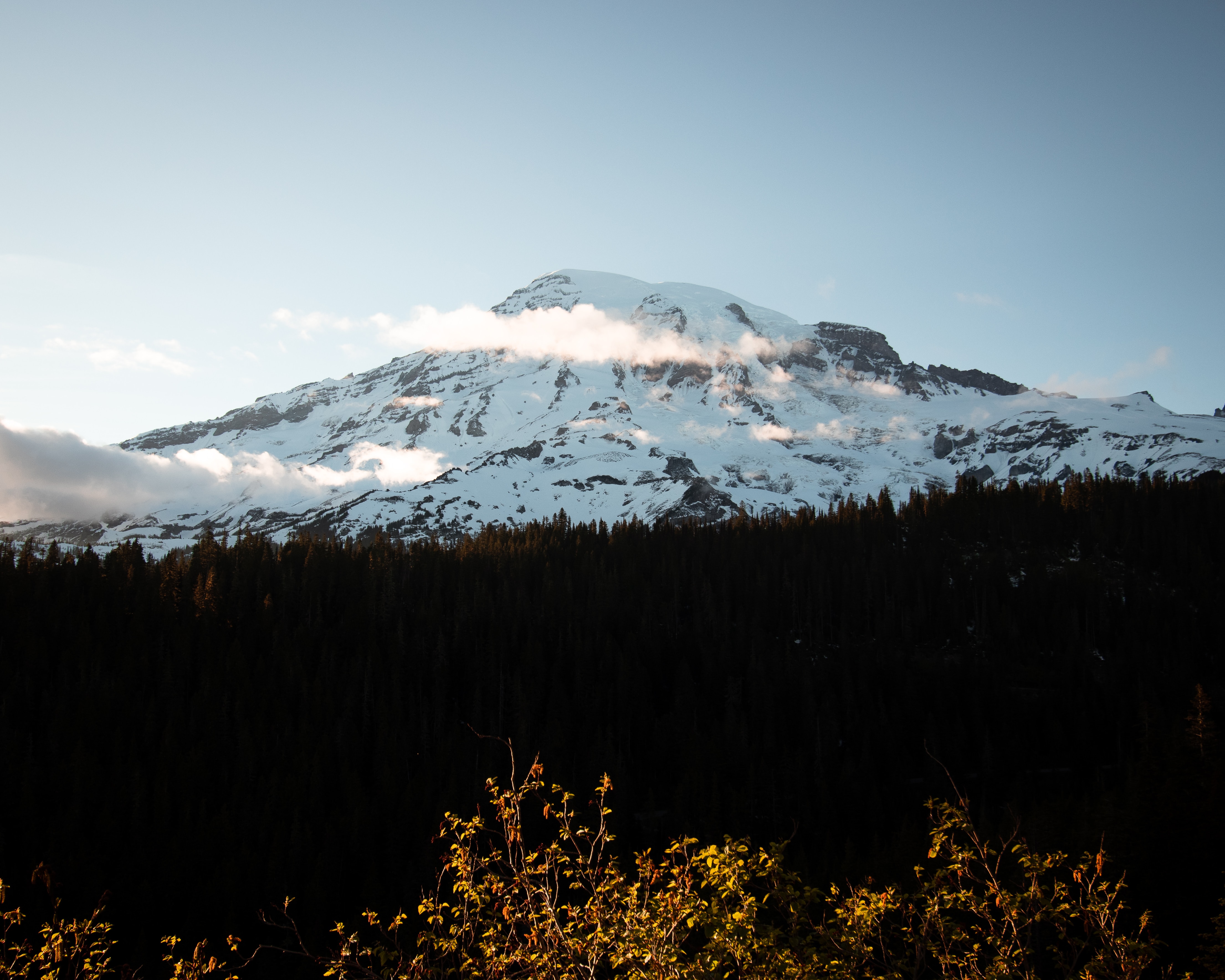 Laden Sie das Natur, Berg, Nach Oben, Scheitel, Wald, Schneebedeckt, Snowbound, Bäume-Bild kostenlos auf Ihren PC-Desktop herunter
