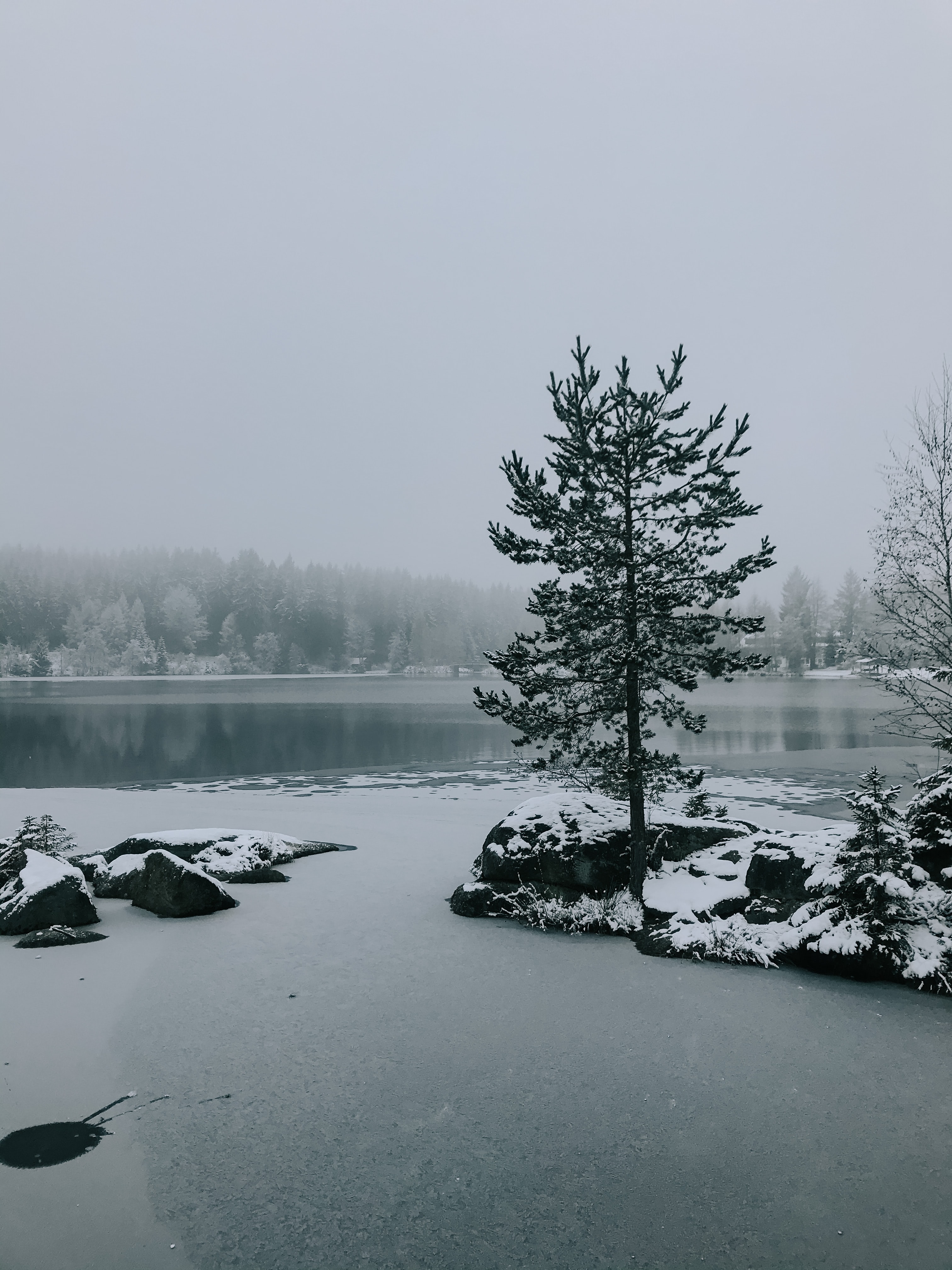 snow, nature, landscape, winter, lake, wood, tree cellphone