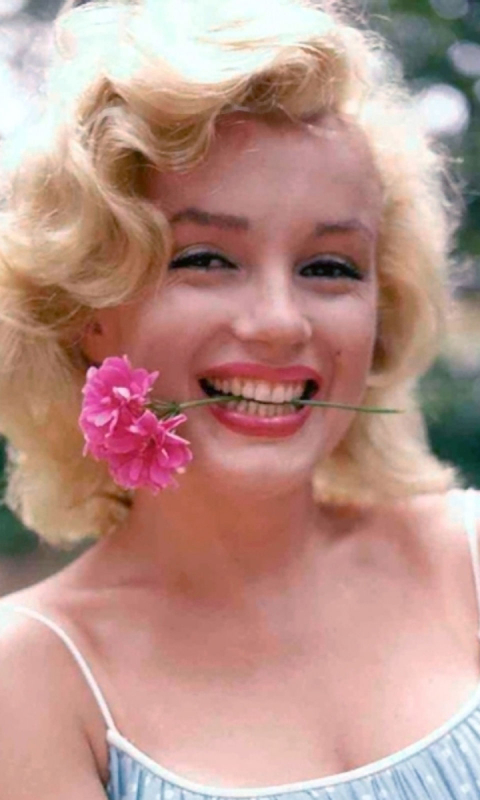Handy-Wallpaper Marilyn Monroe, Blume, Lächeln, Berühmtheiten, Darstellerin kostenlos herunterladen.