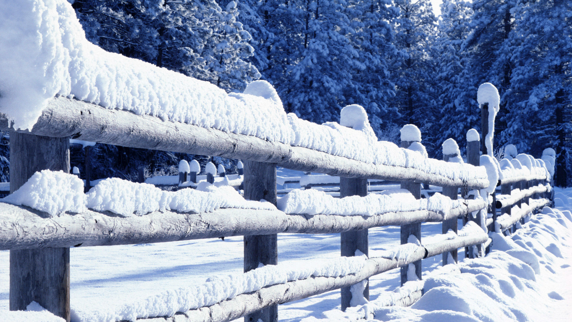 Скачать обои бесплатно Зима, Снег, Ограда, Фотографии картинка на рабочий стол ПК