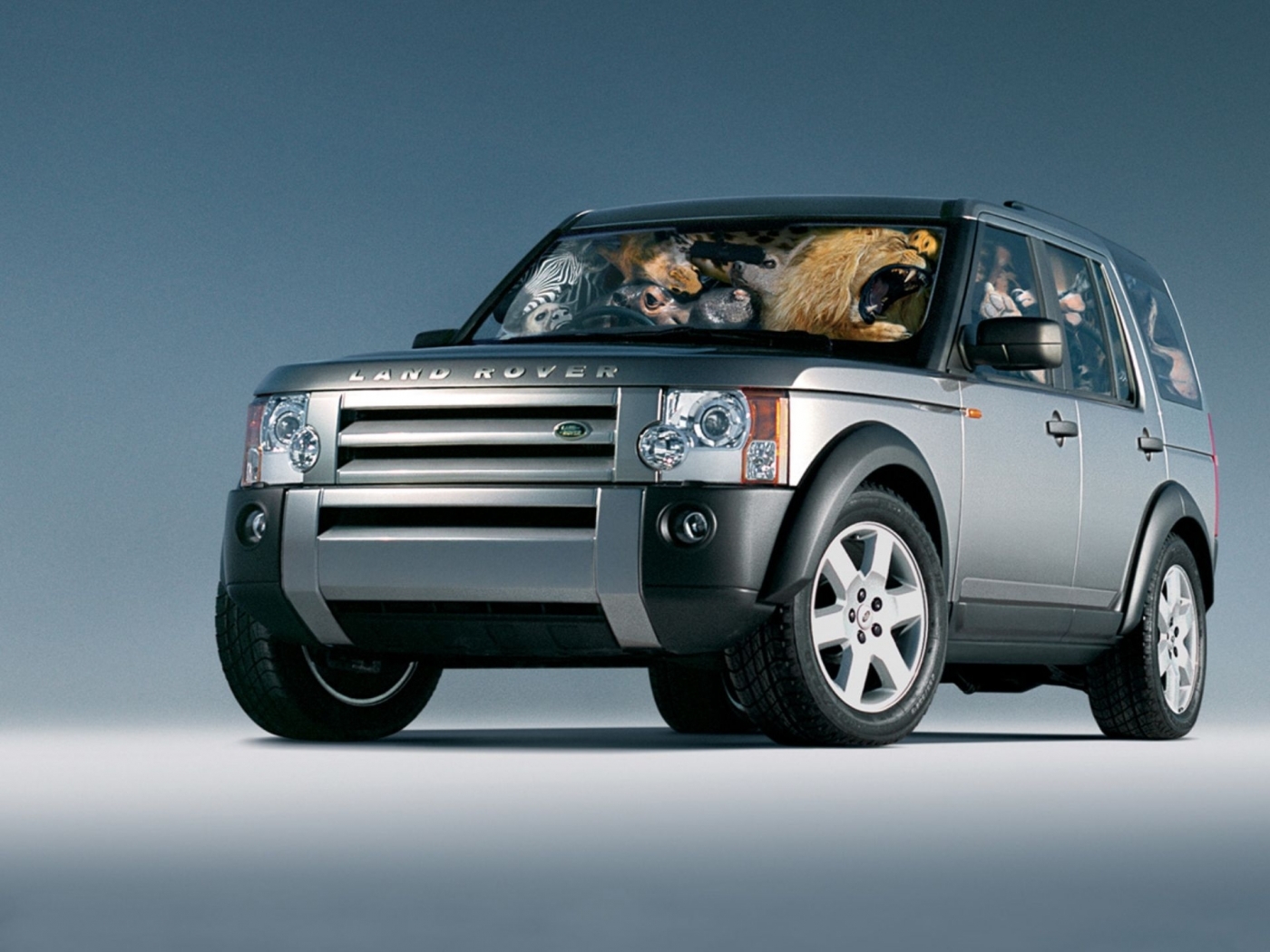Téléchargez des papiers peints mobile Transports, Voitures, Range Rover gratuitement.