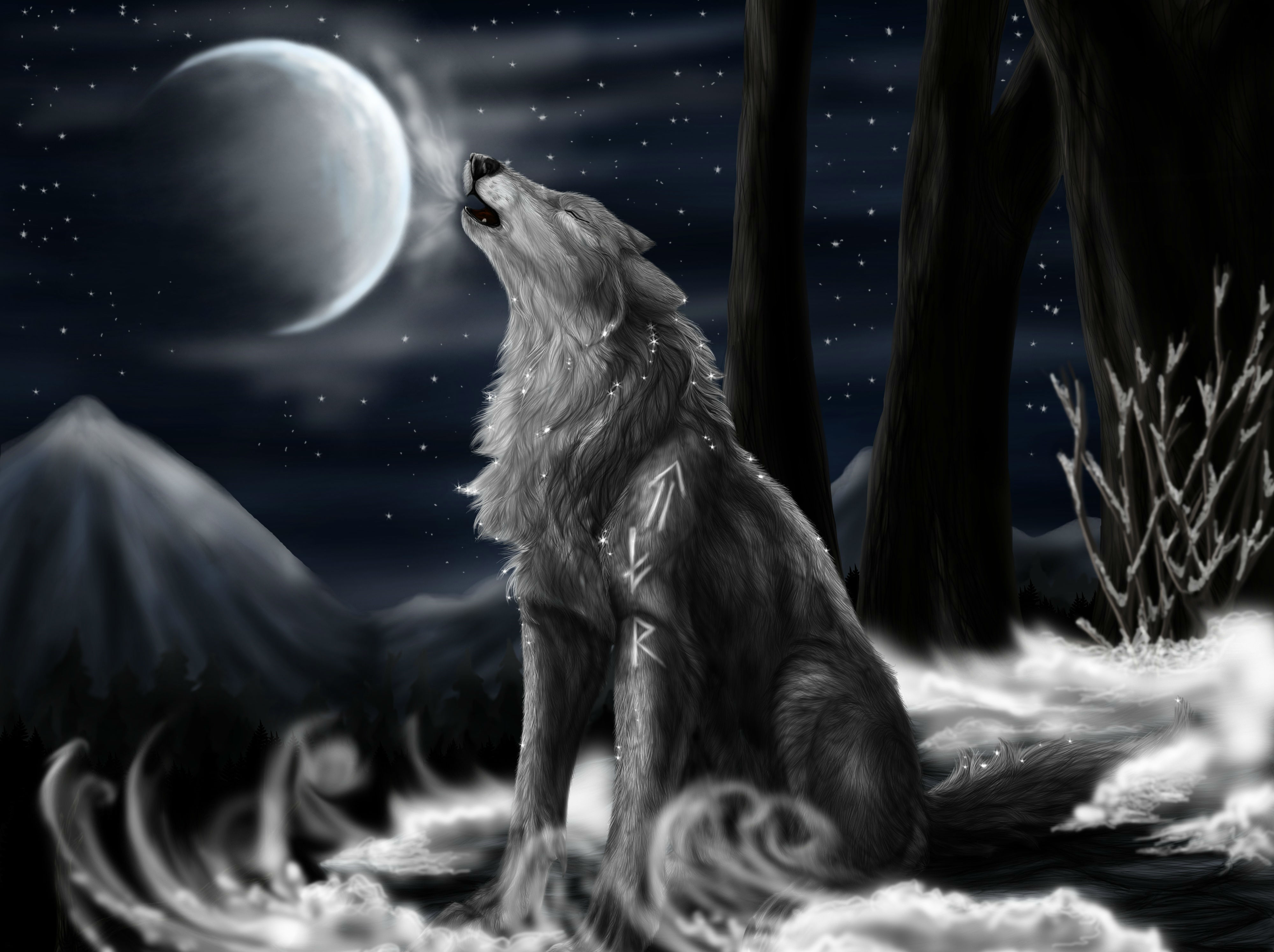 238982 Bild herunterladen tiere, wolf, wolves - Hintergrundbilder und Bildschirmschoner kostenlos