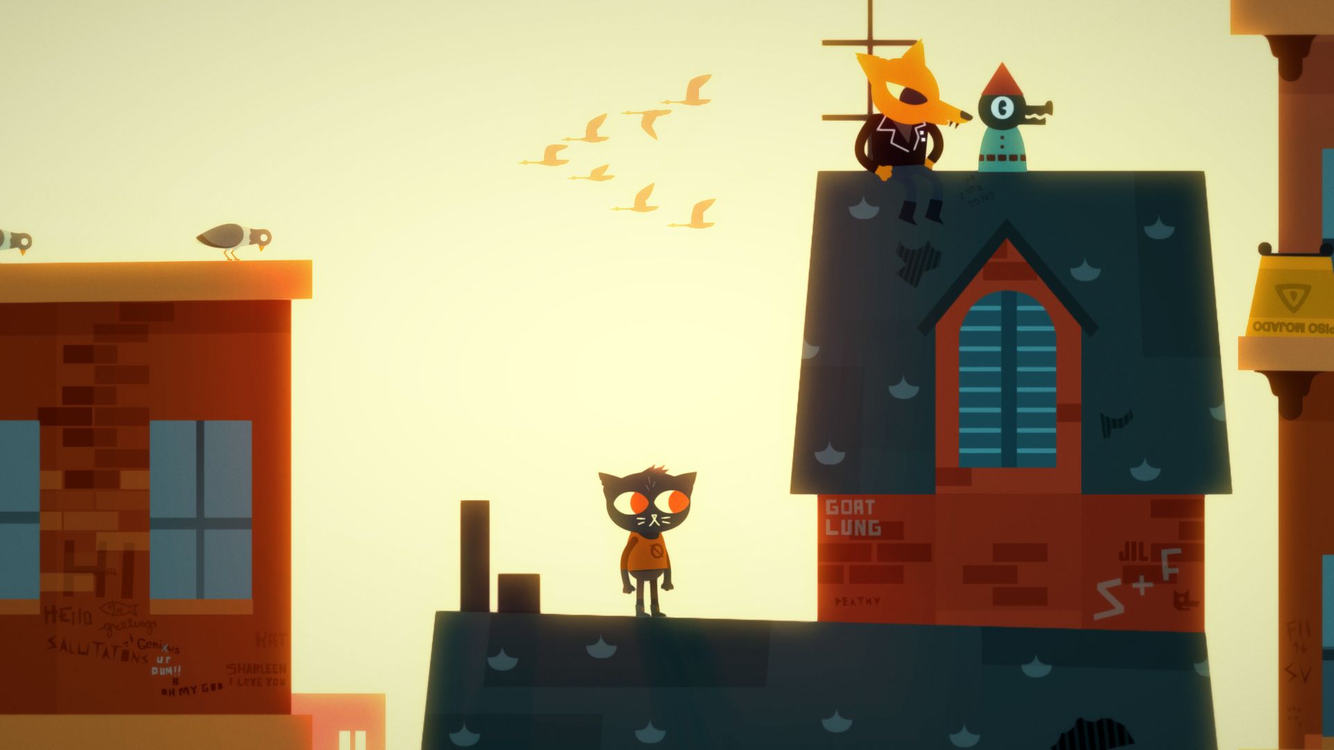 Free Images  Night In The Woods